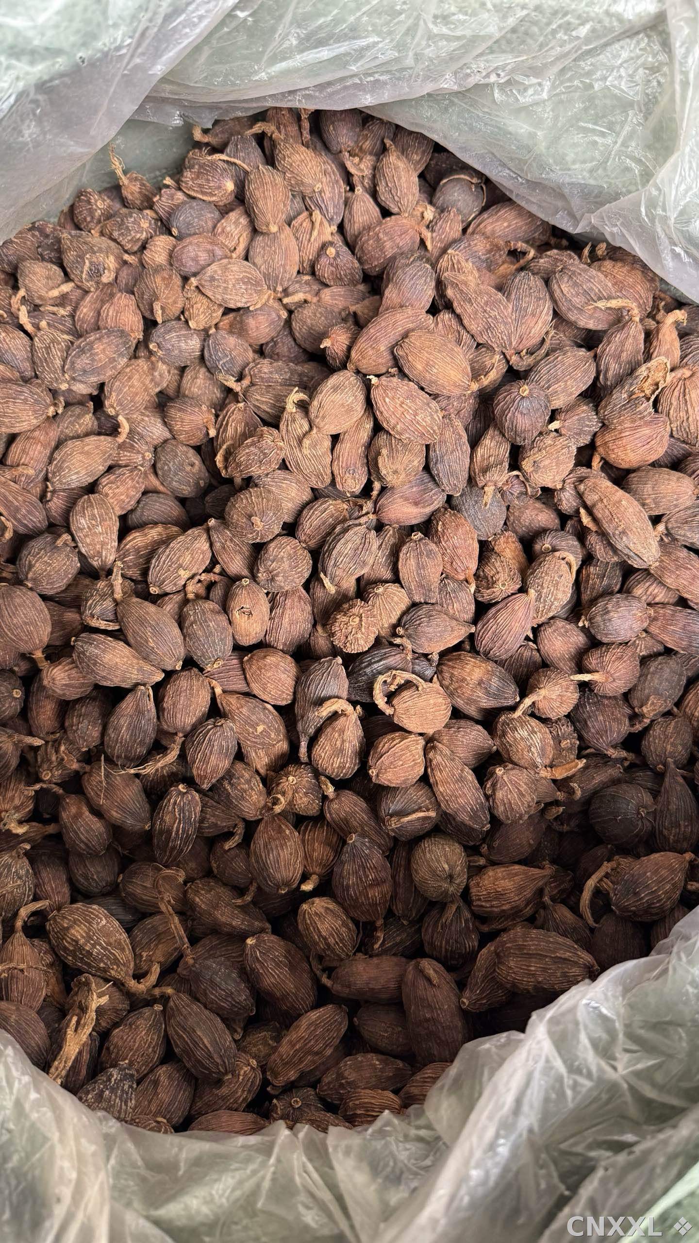 spice_13646_c8ace6d0_2.jpg