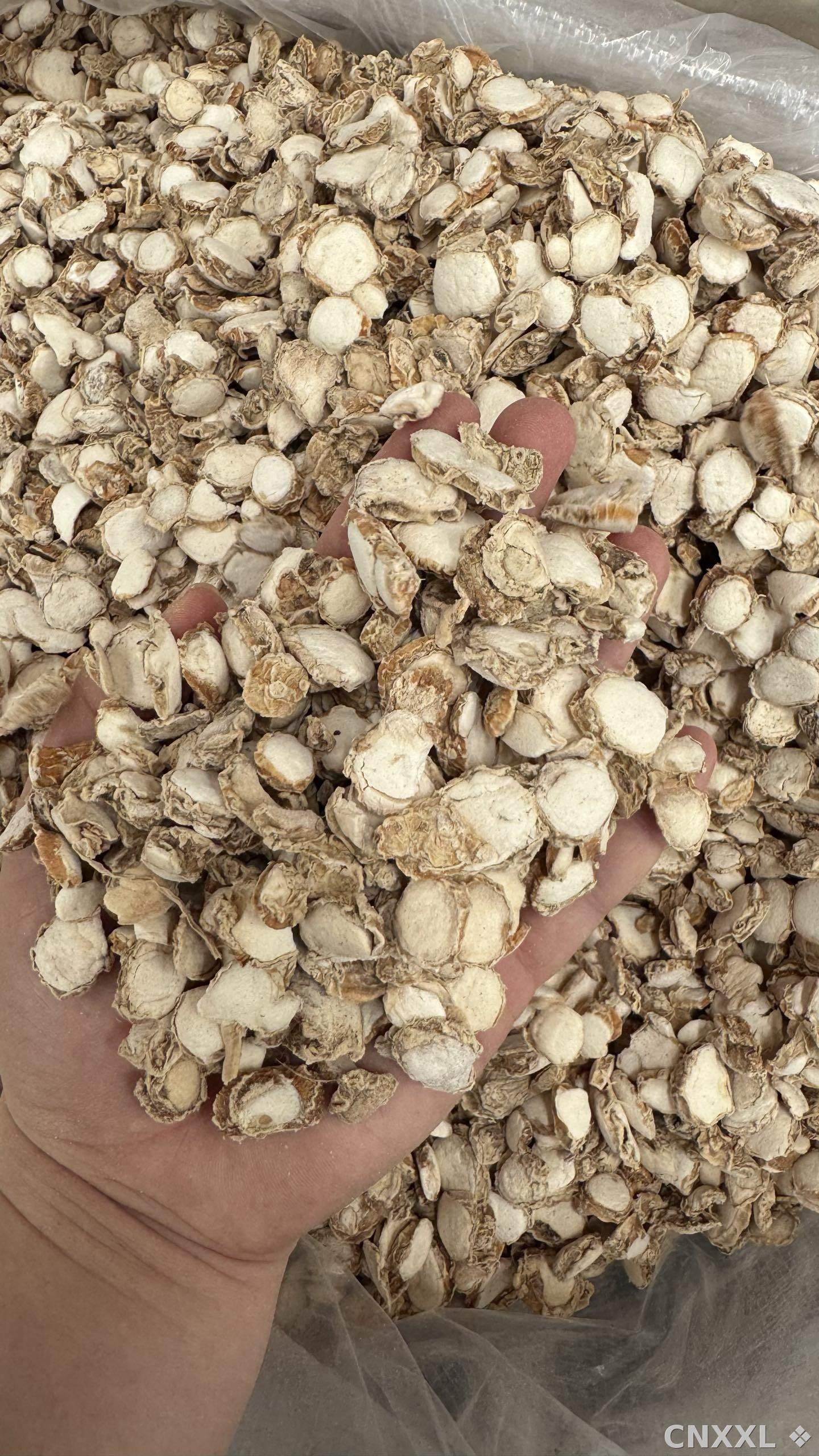 spice_13648_e0a090fe_1.jpg