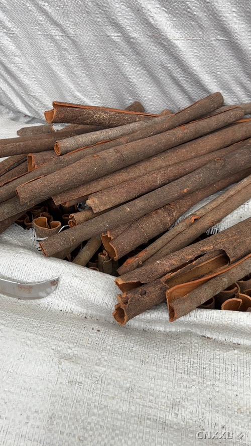 spice_14254_96119c77_1.jpg