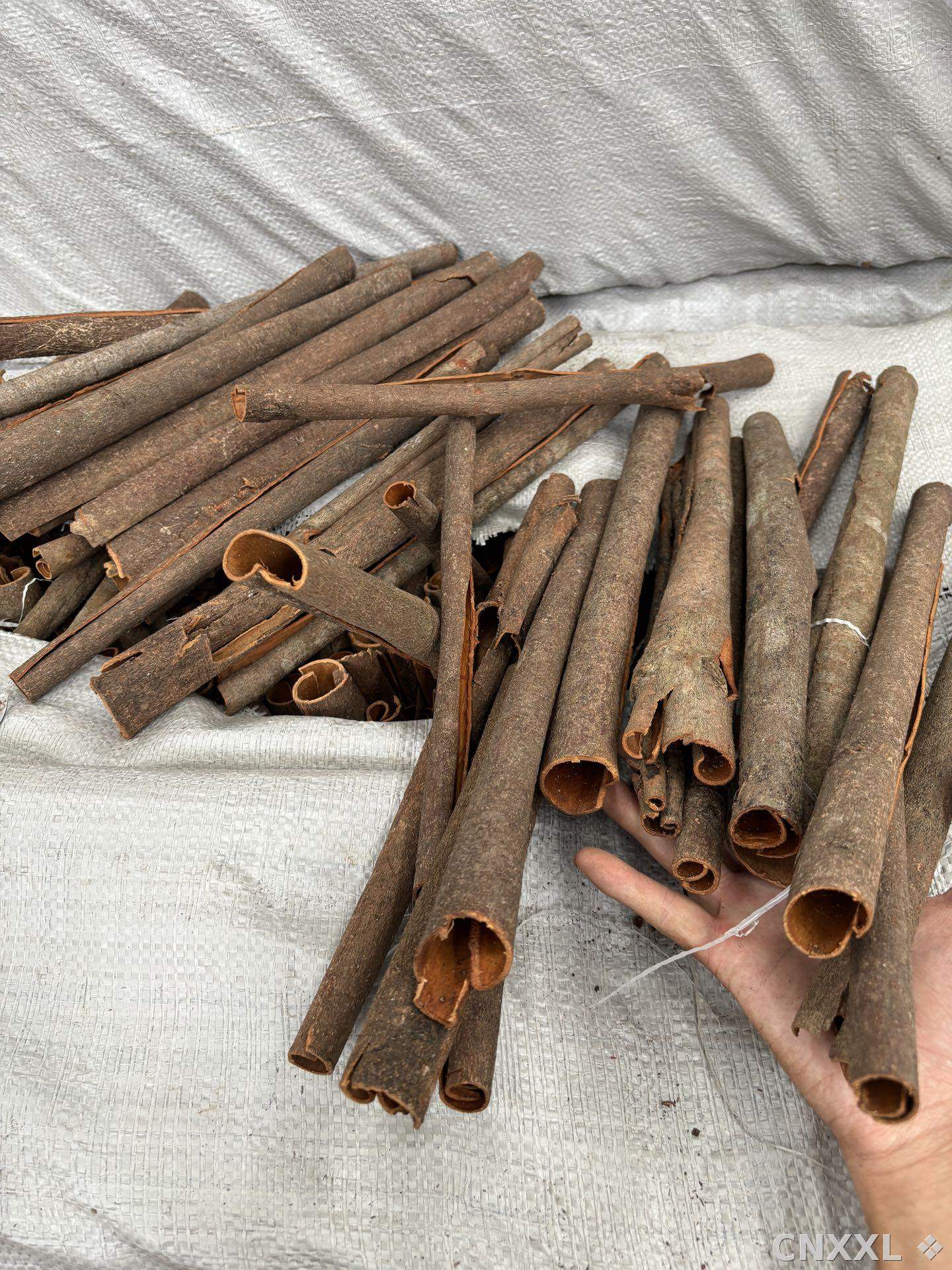 spice_14255_ff69ef03_1.jpg