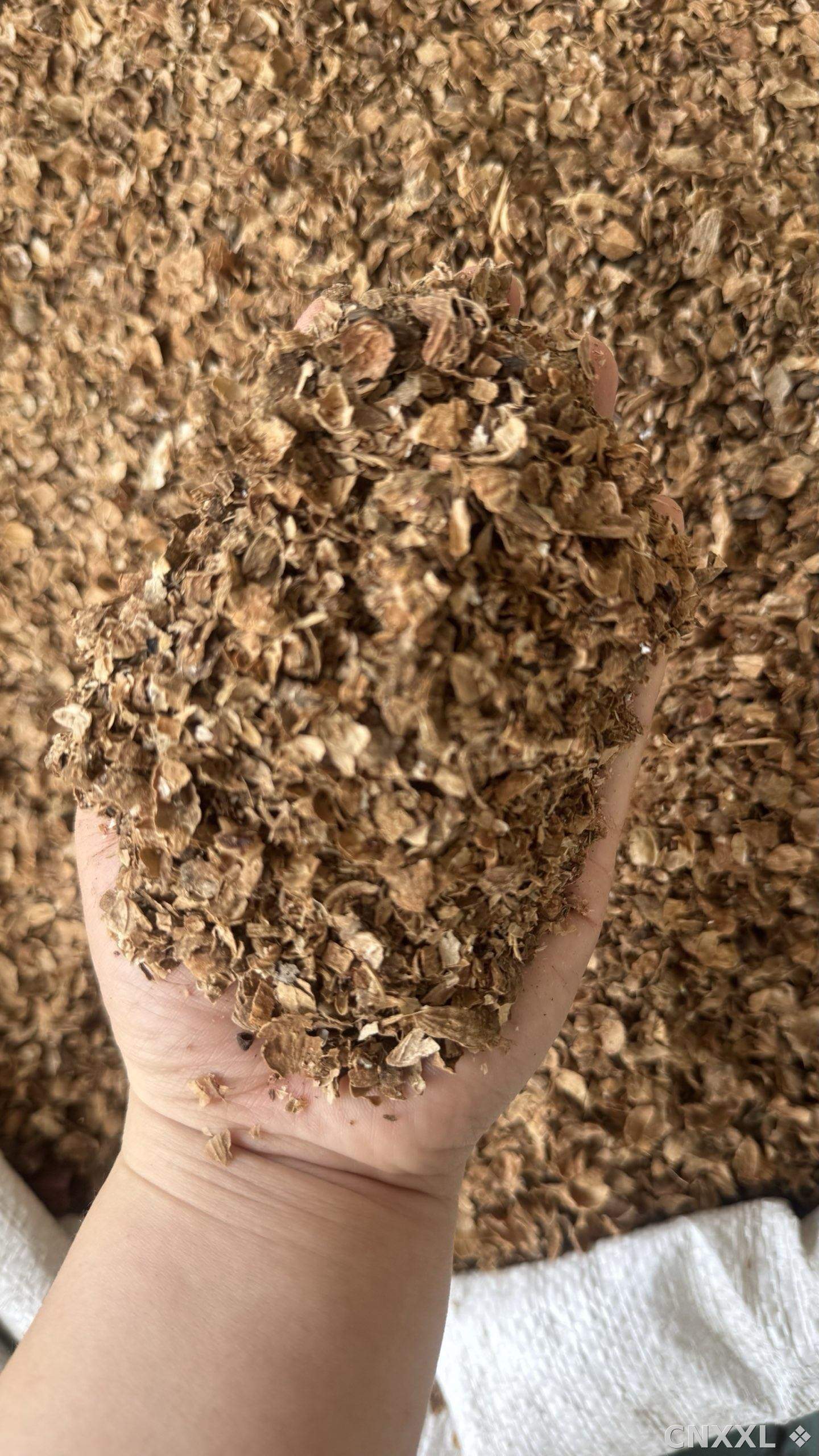 spice_14405_9d8f09ef_2.jpg