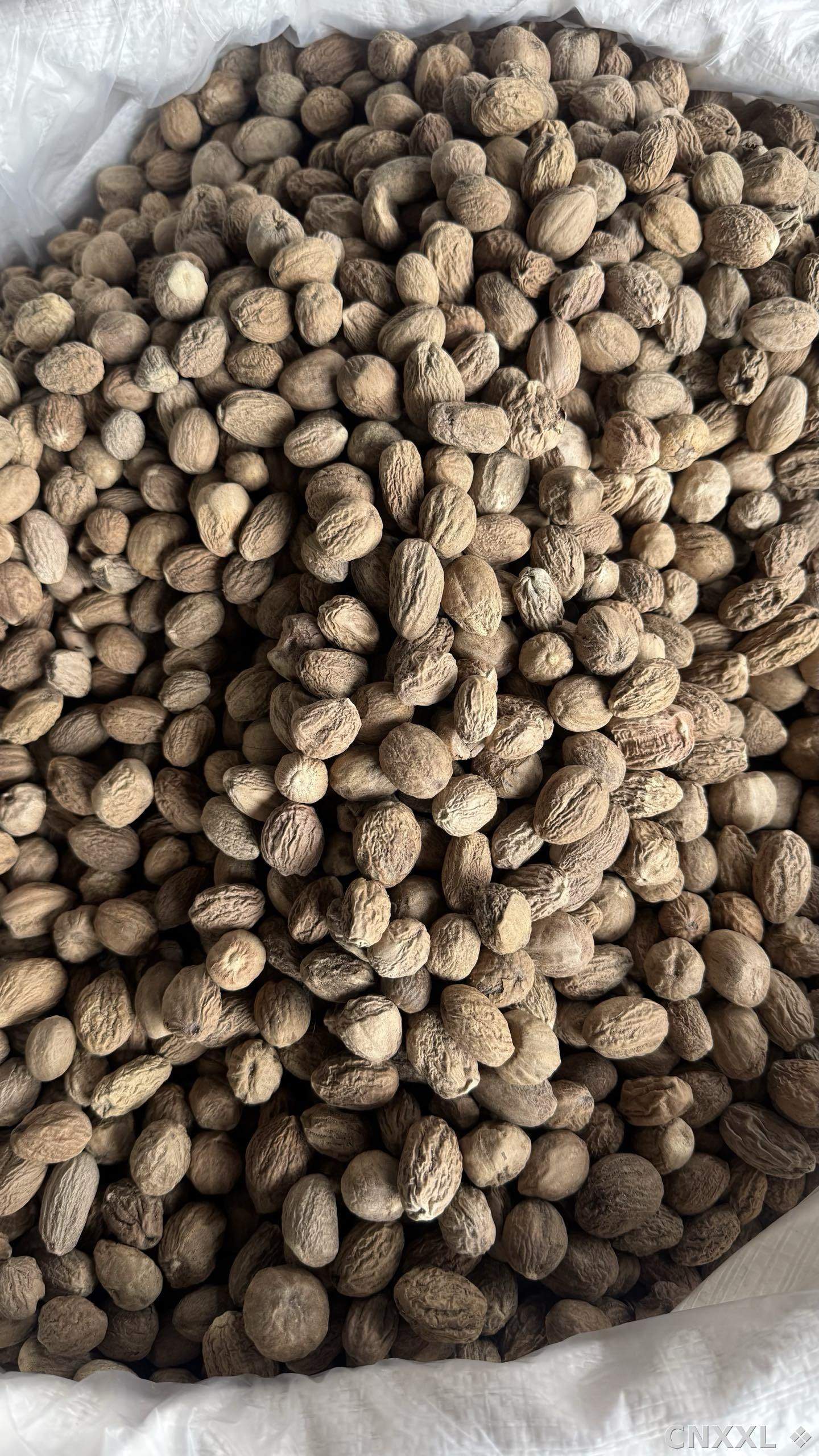 spice_14424_f818bc8a_3.jpg