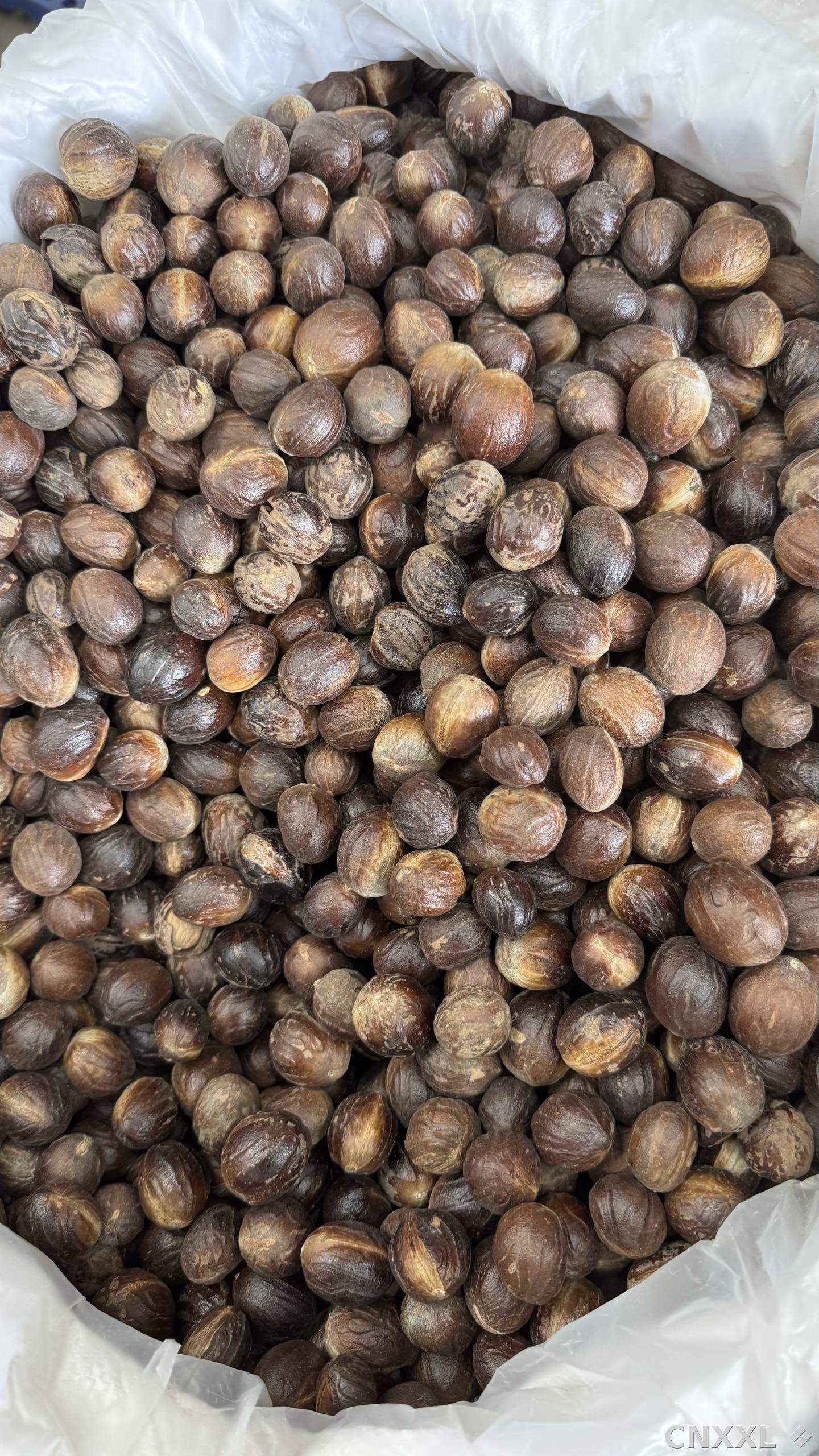 spice_1457754_7838ef25_3.jpg