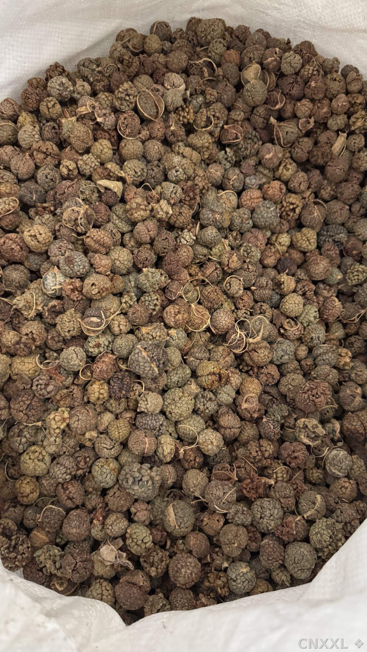 spice_1457775_5ab8ab8d_3.jpg