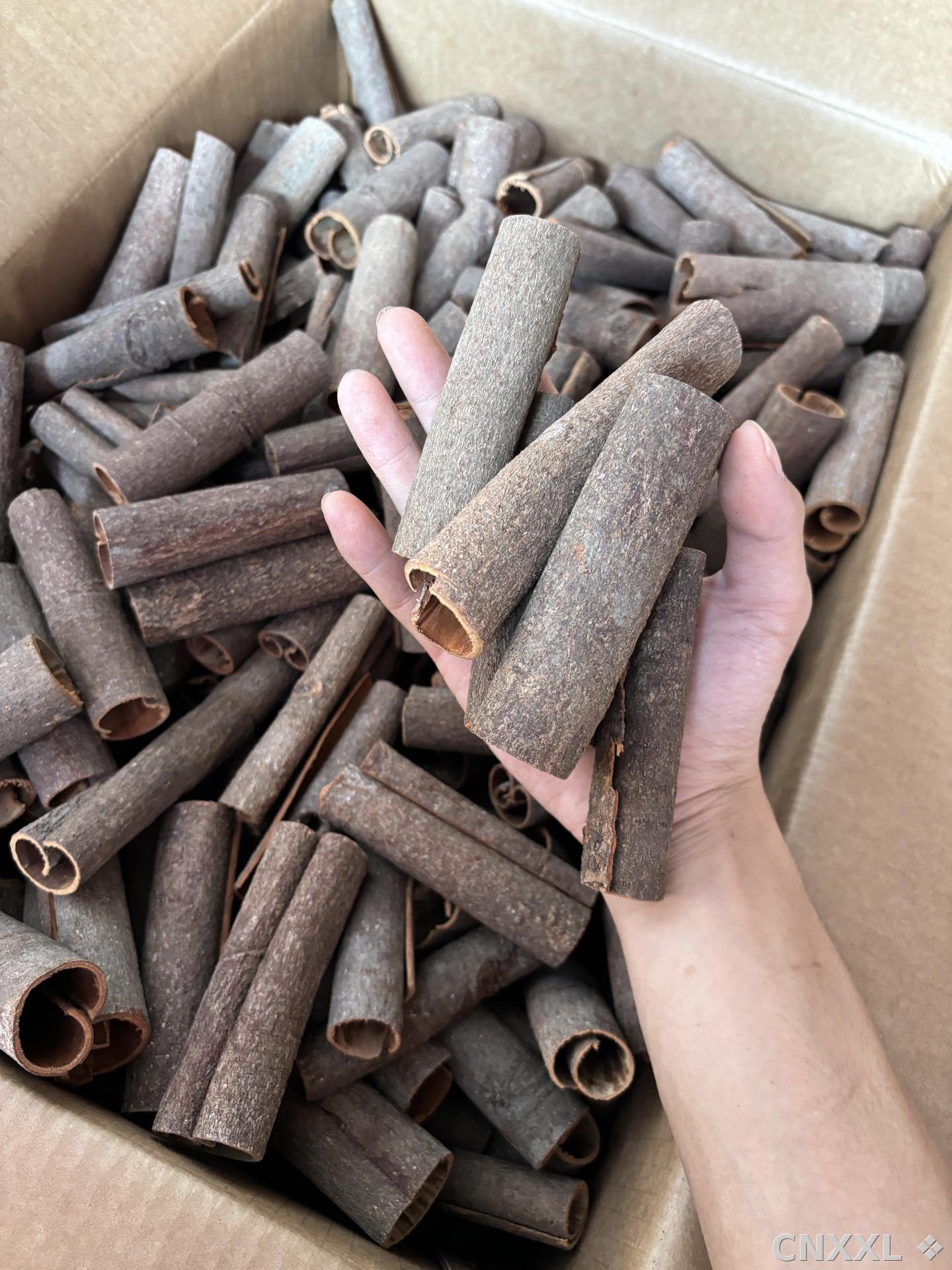 spice_14828_3704ca6e_3.jpg