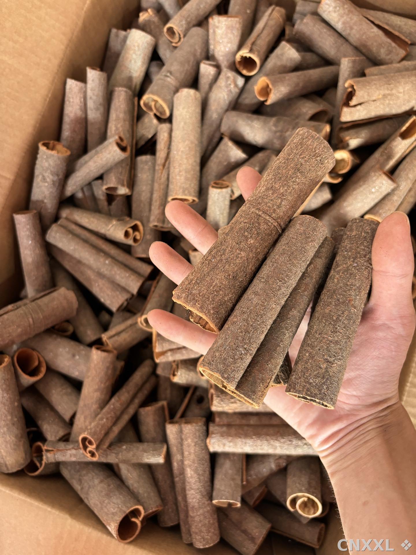 spice_14828_75fe39db_1.jpg