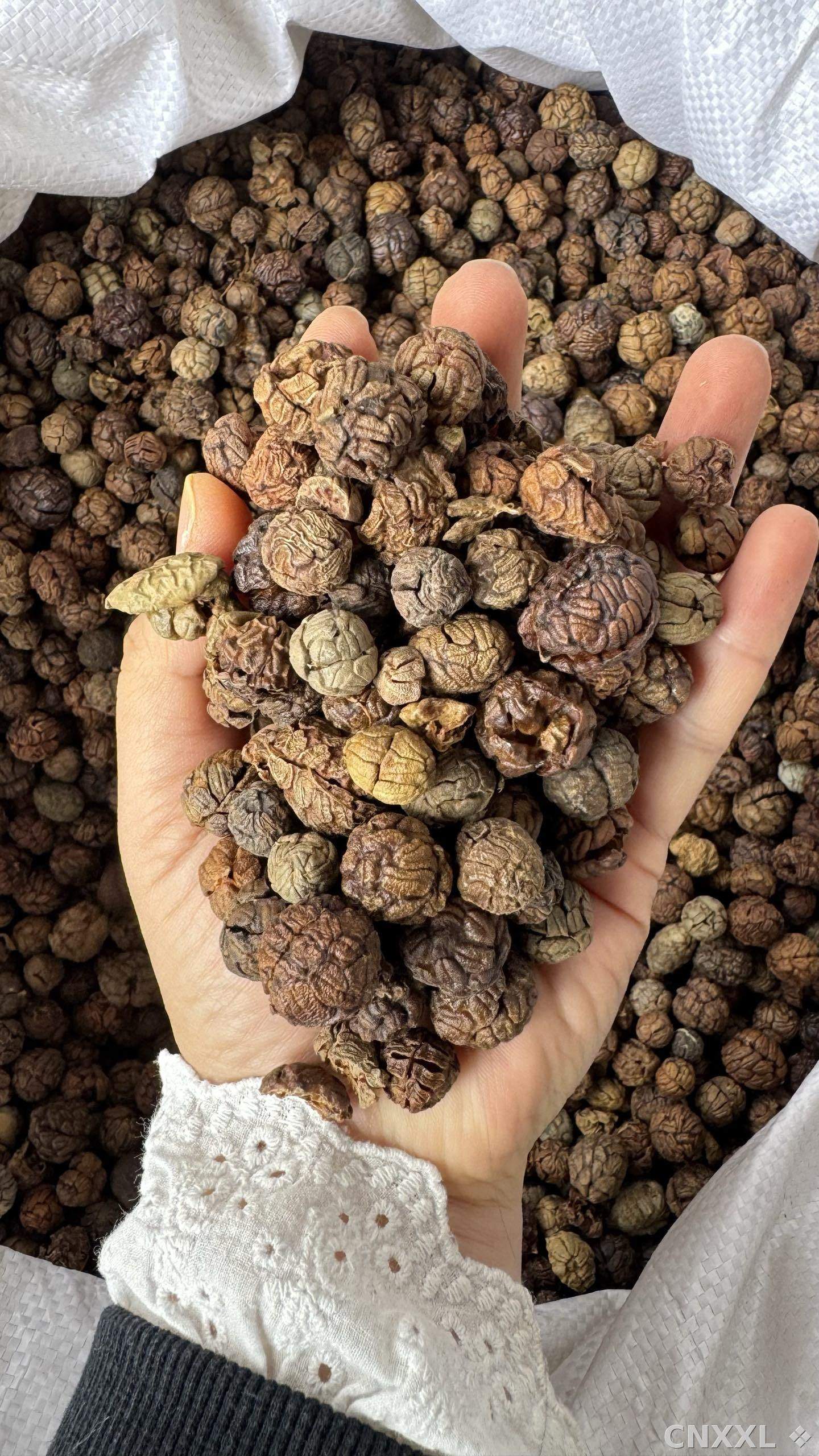 spice_14835_6726d85f_2.jpg