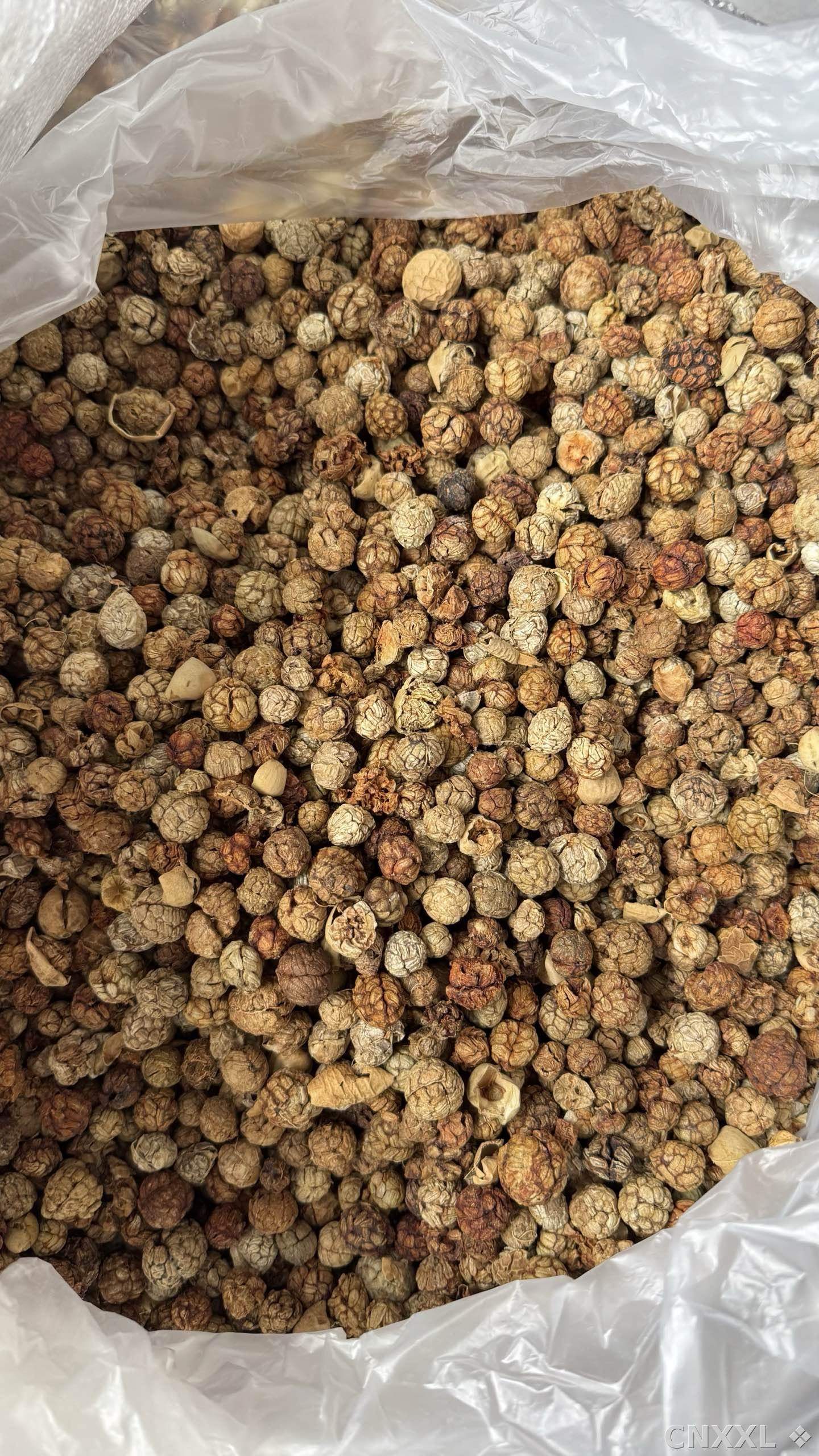 spice_14836_0a1afb2b_3.jpg