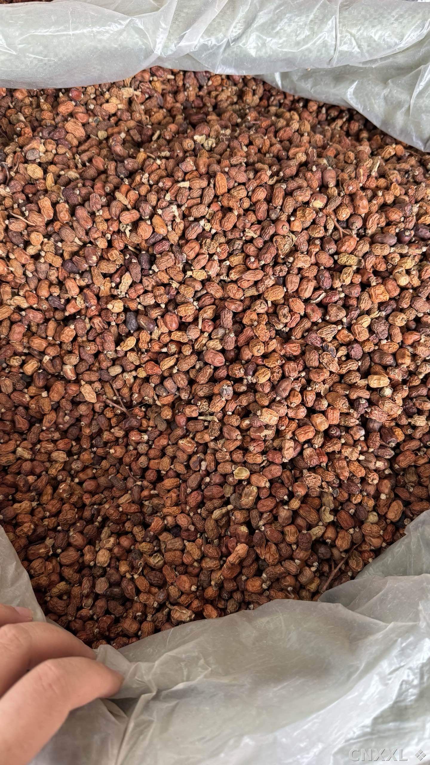 spice_14860_801a65c3_3.jpg