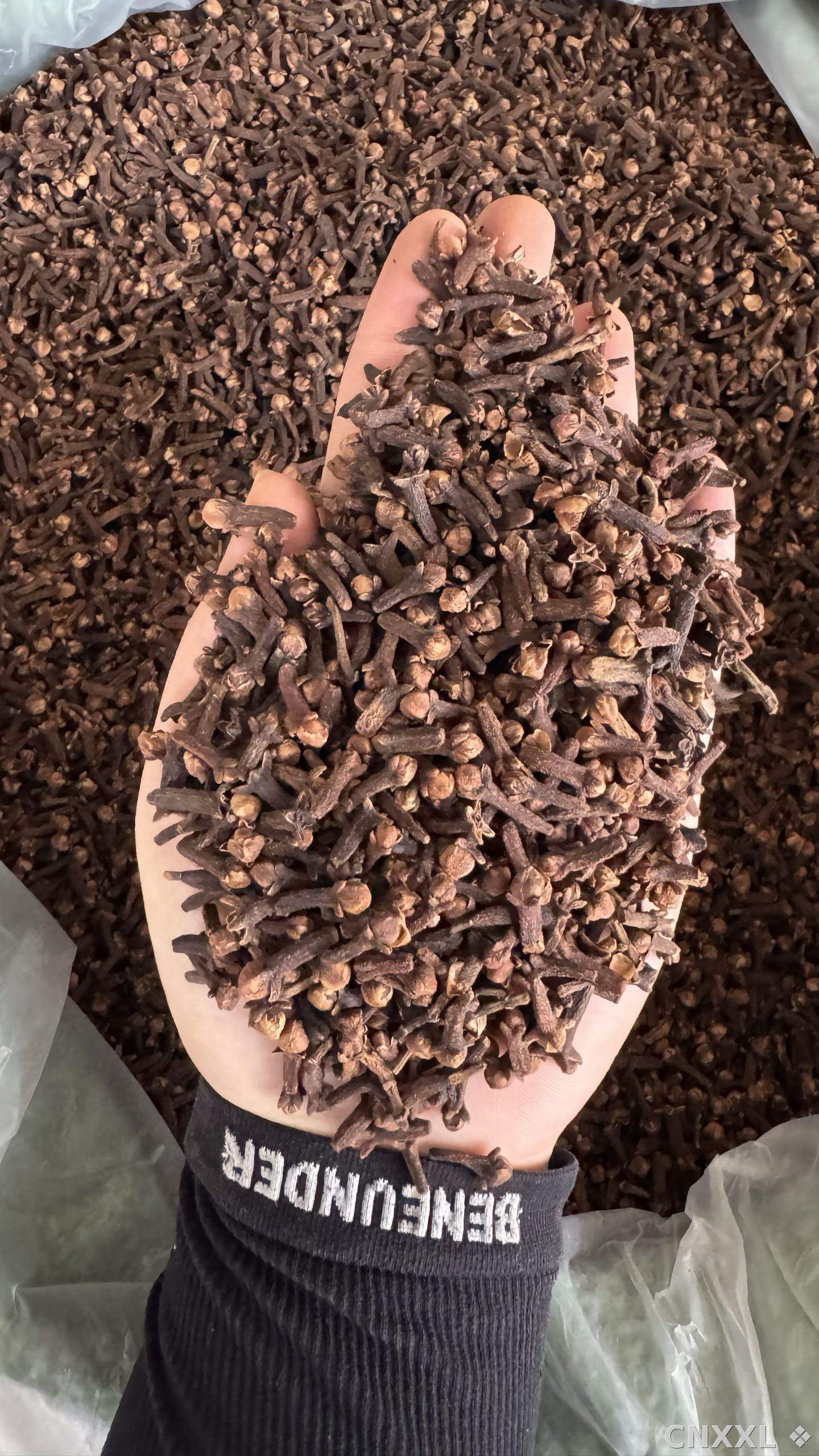 spice_14863_2f8e7b1b_1.jpg