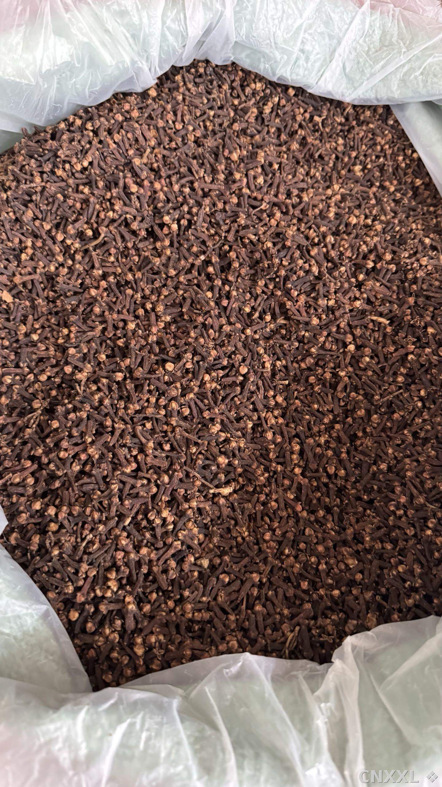 spice_14863_e64cd107_3.jpg