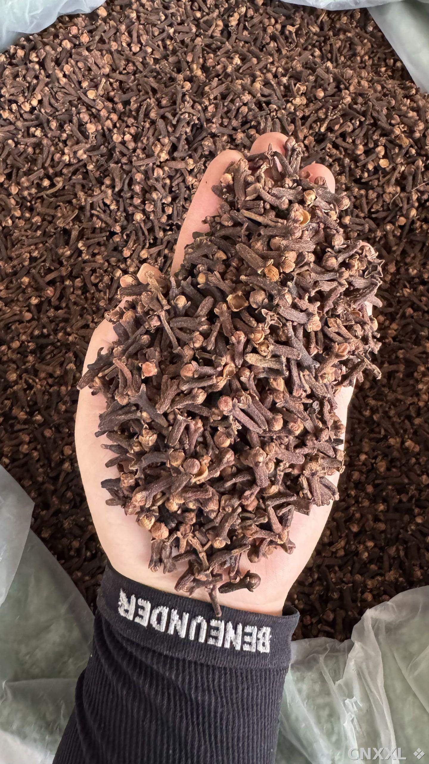 spice_14863_f595da15_2.jpg