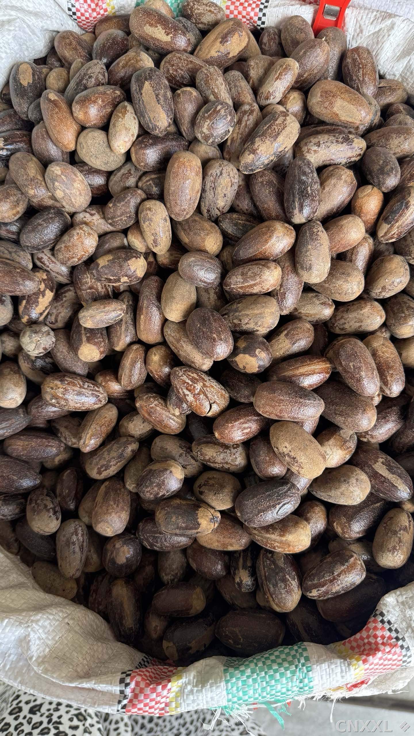 spice_14865_4e2caace_3.jpg