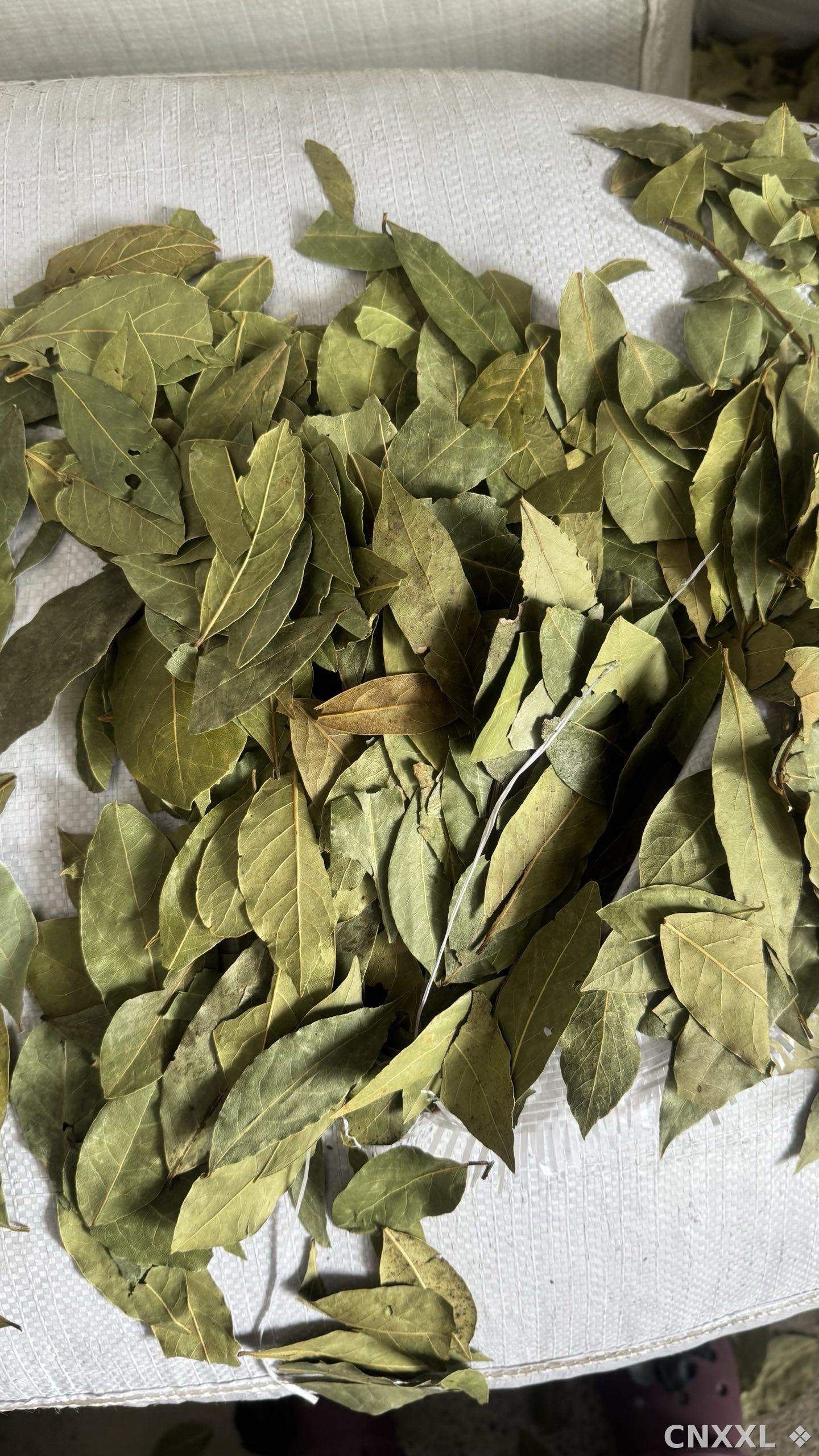 spice_153701_6d3275c2_3.jpg