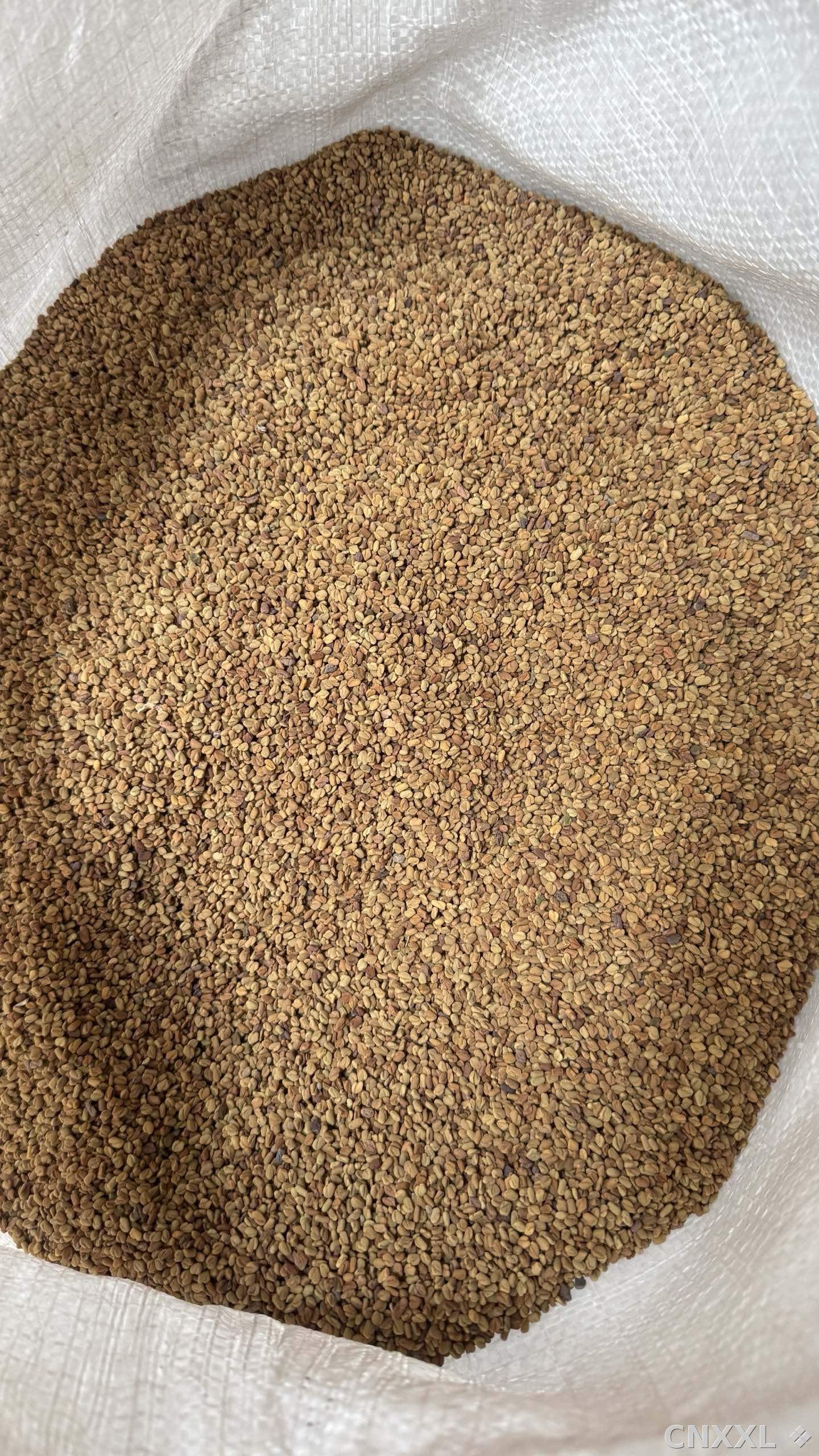 spice_1548515_3774fbdd_3.jpg