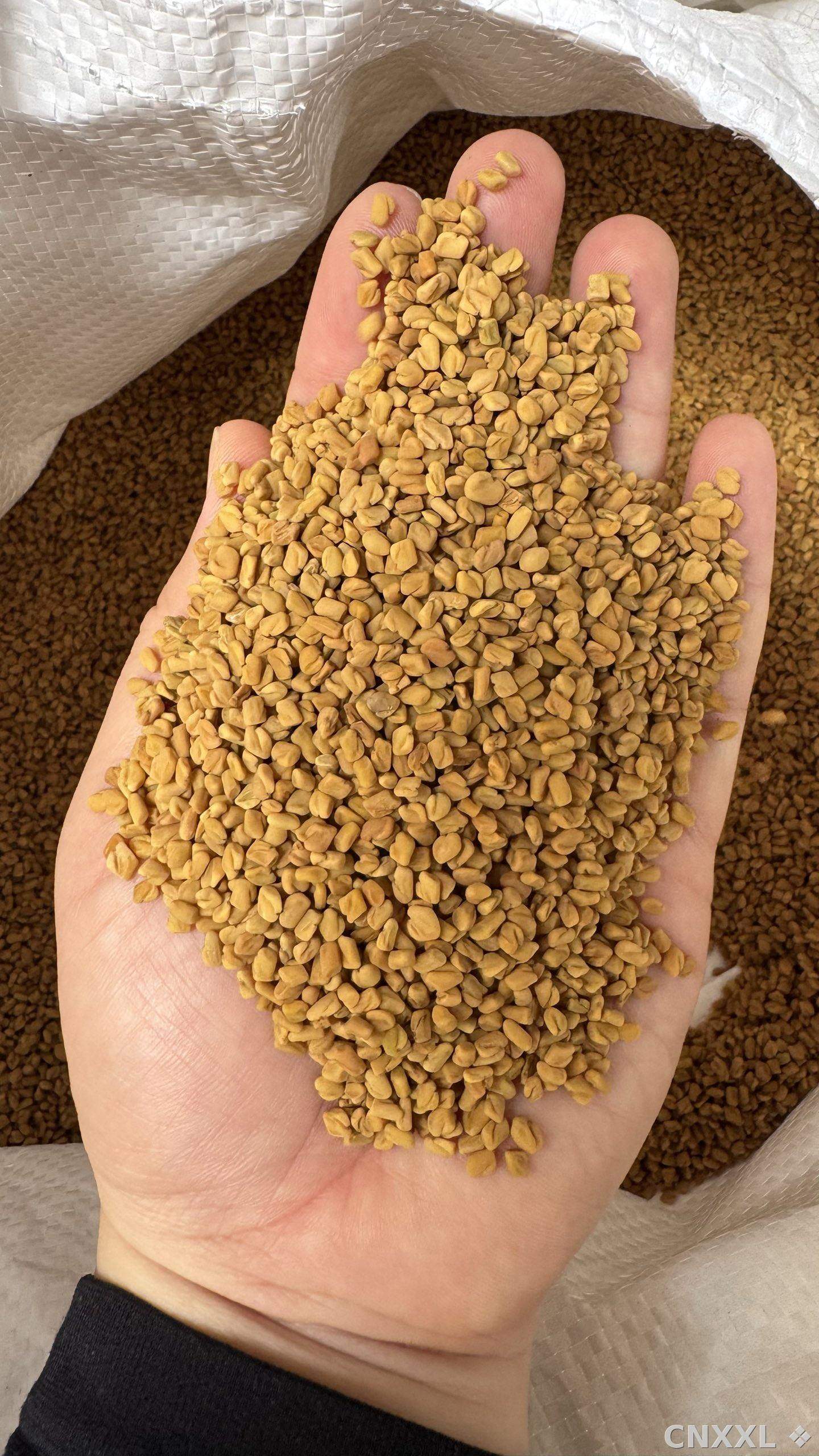 spice_1548516_9a9d37ab_2.jpg