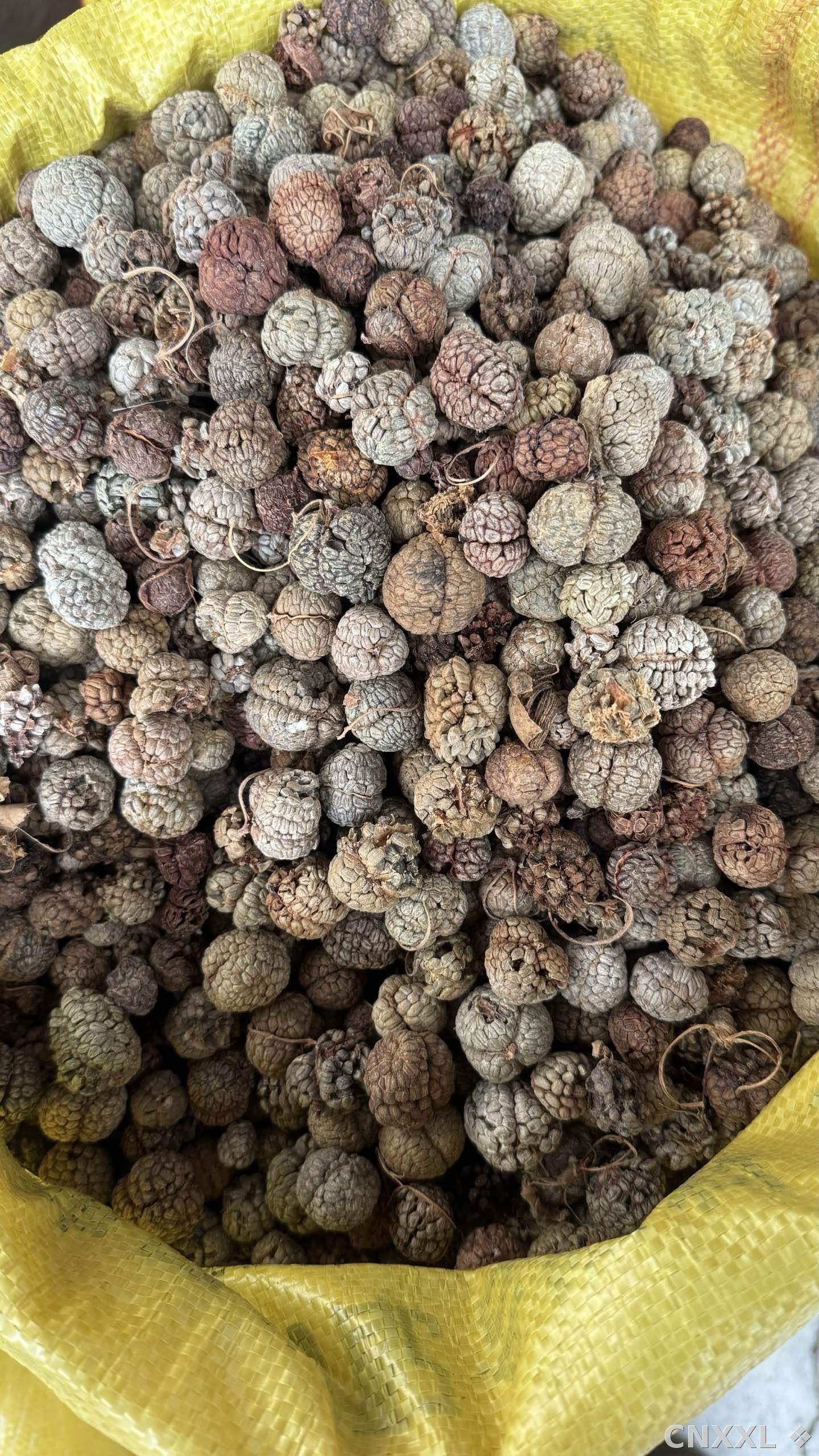 spice_1548533_4f4d05dd_3.jpg