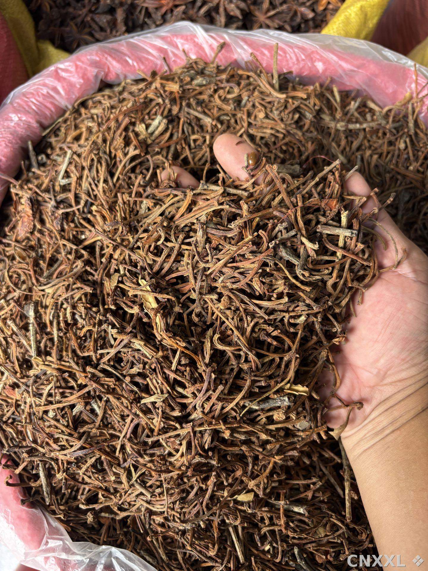 spice_15528_04fe17f6_2.jpg