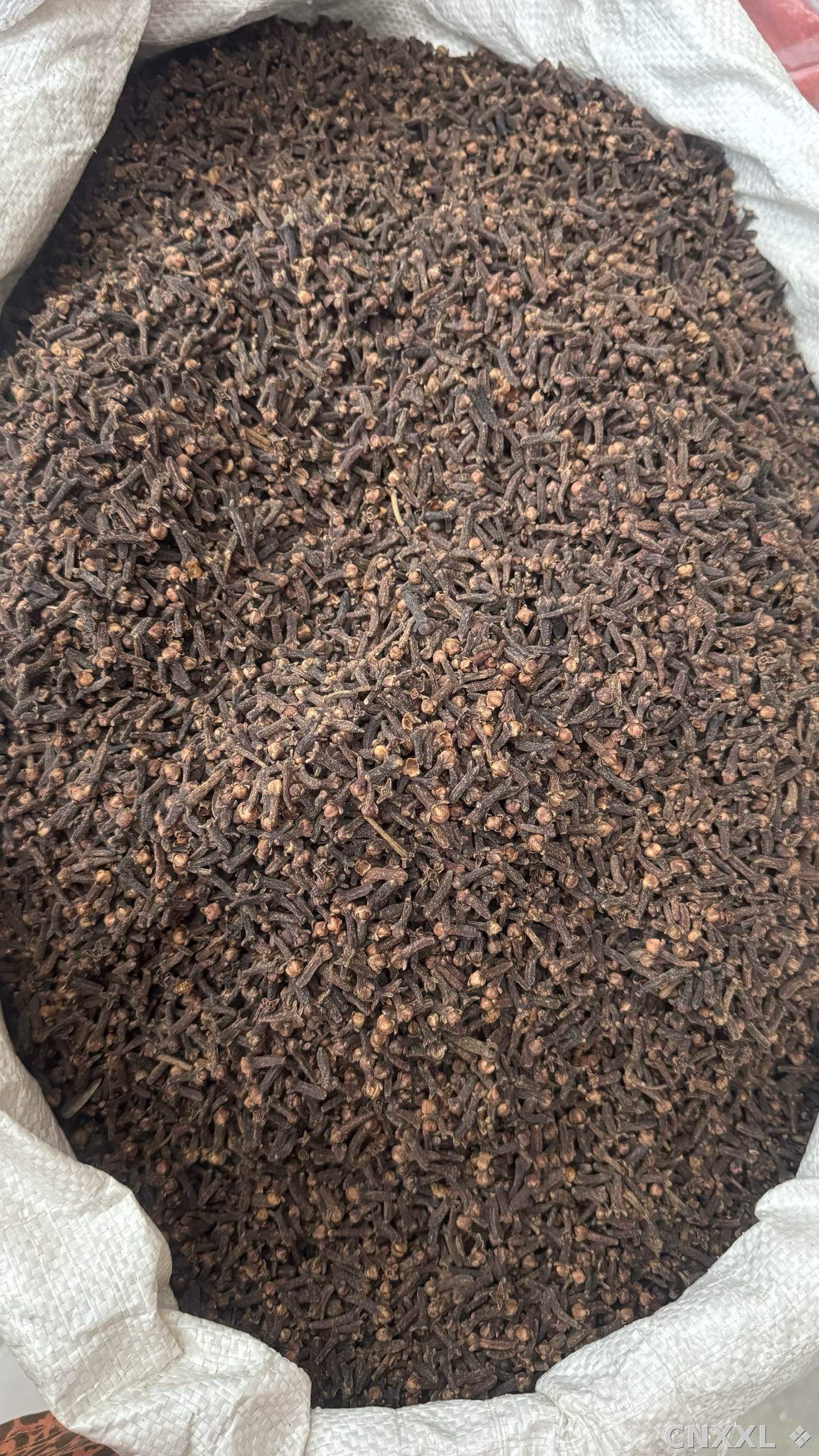 spice_1603971_60283ee8_3.jpg