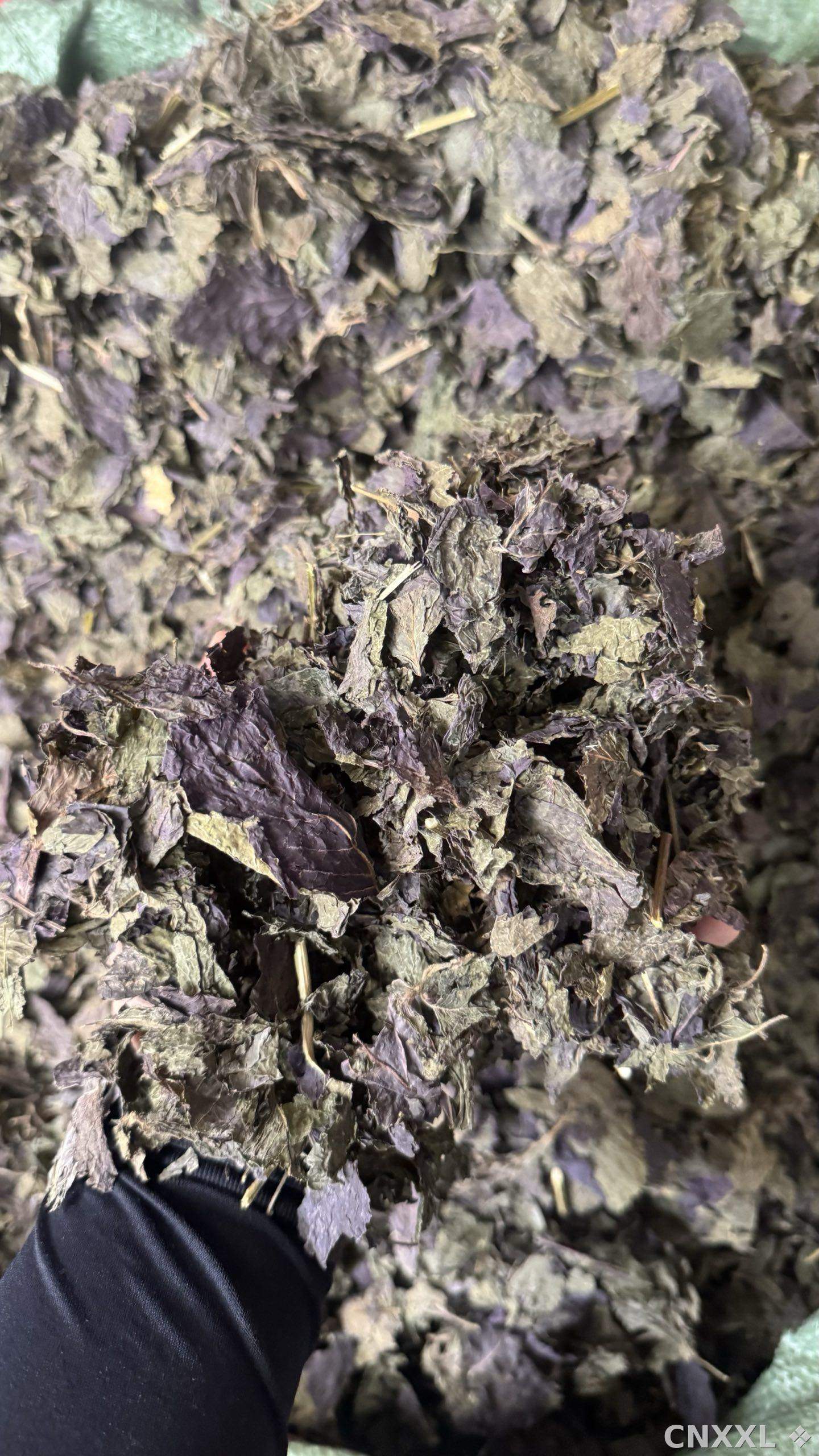 spice_163649_8c3a782e_2.jpg