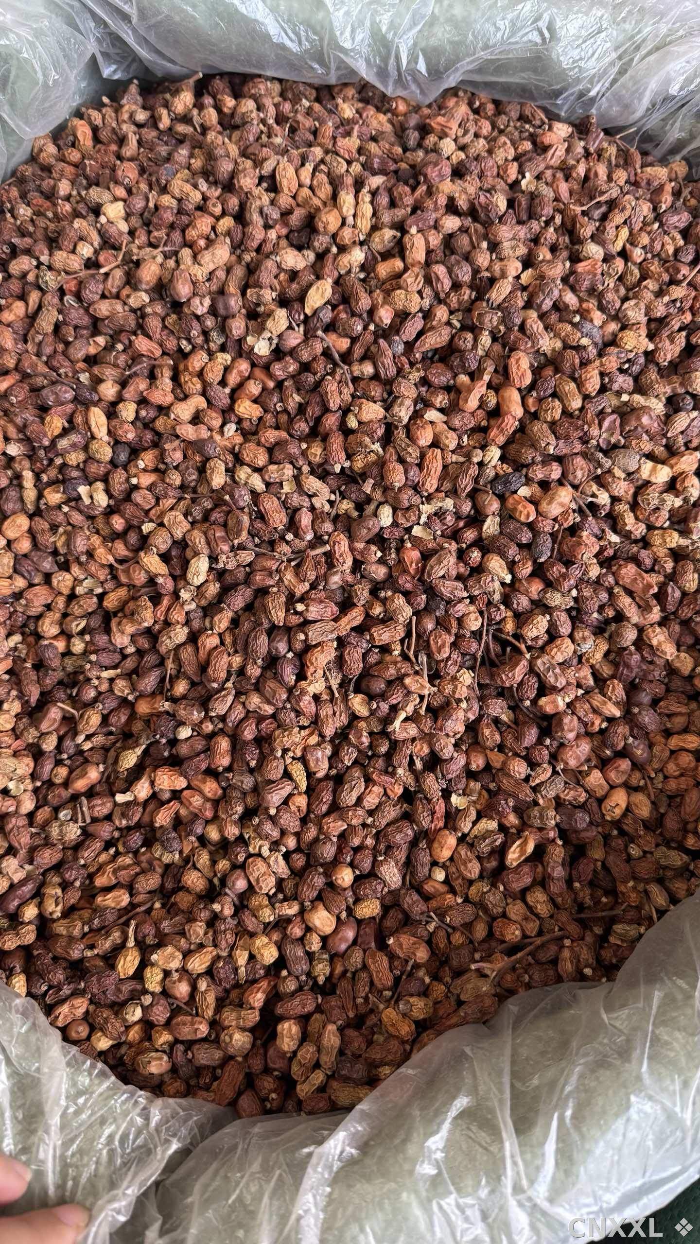 spice_16500_0c536058_3.jpg