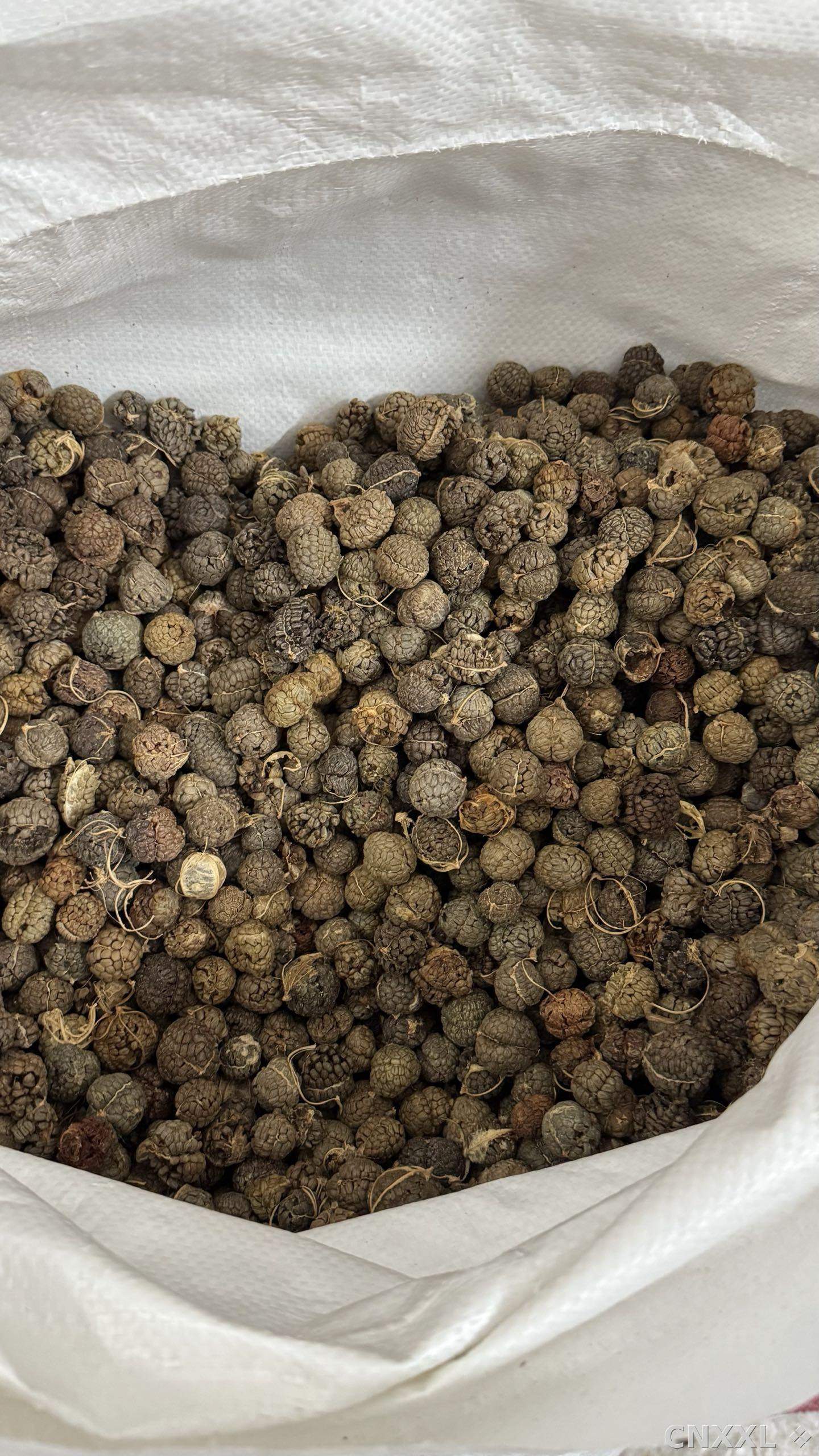 spice_16520_1222fb5b_3.jpg