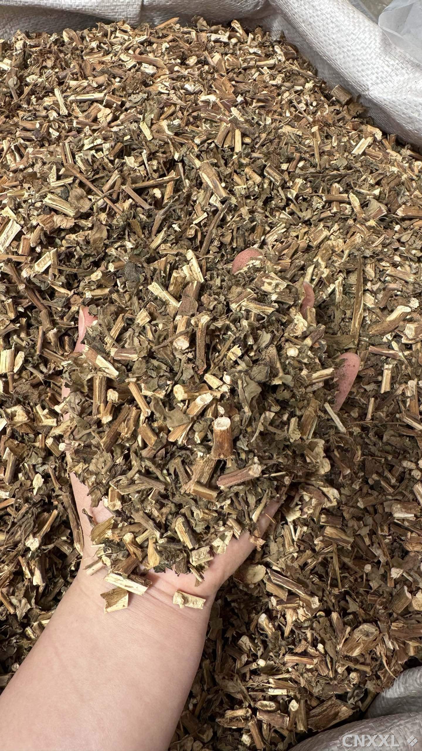 spice_16576_c7764fde_2.jpg