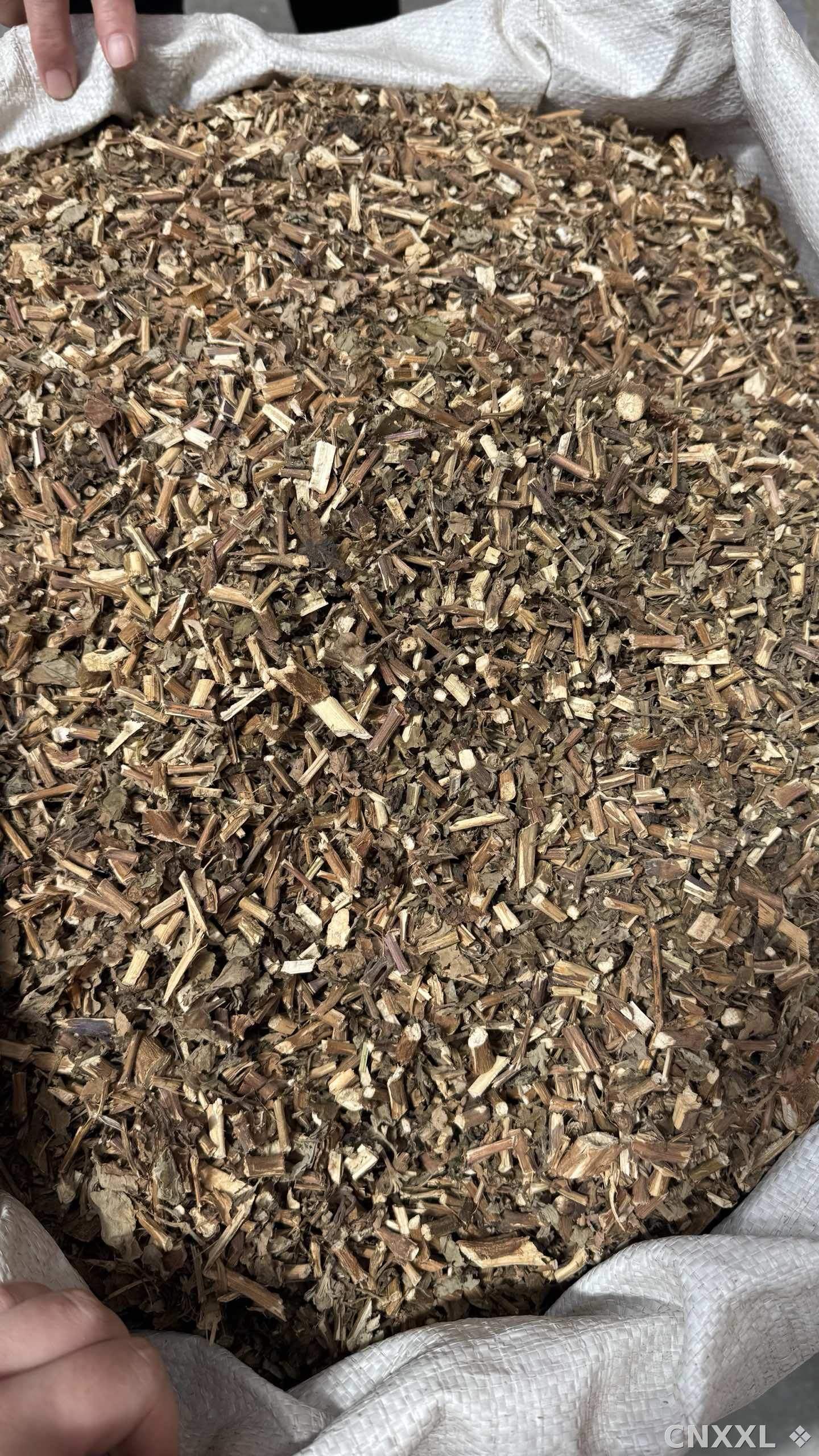 spice_16576_cc5685f9_3.jpg