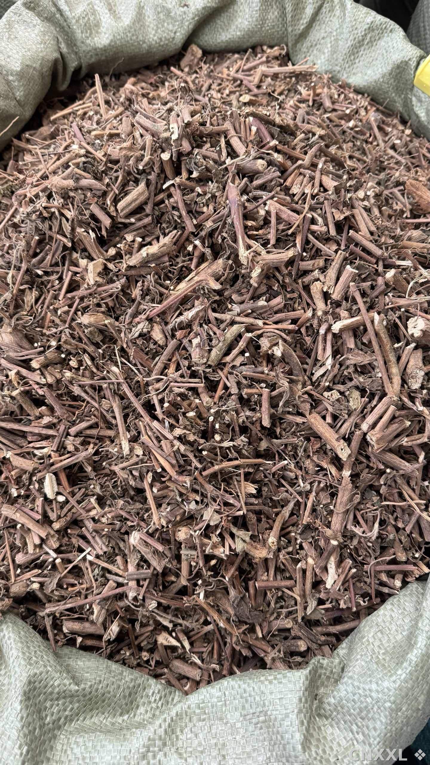 spice_16577_fcfea654_3.jpg