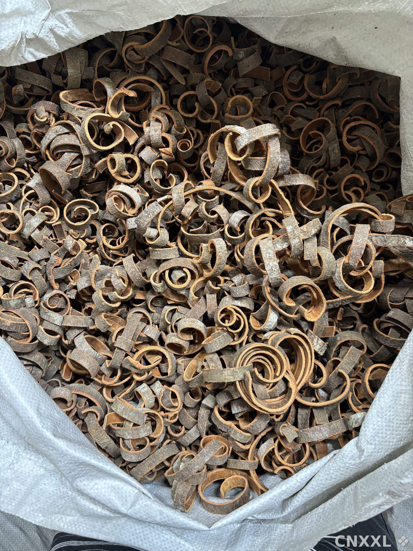 spice_16683_0cbf0b22_3.jpg