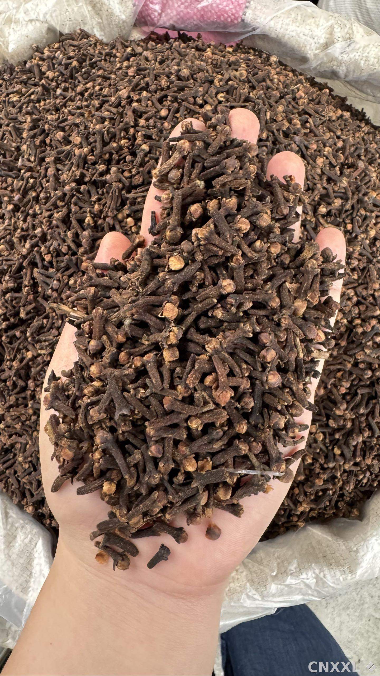 spice_1694695_ad9509d1_2.jpg