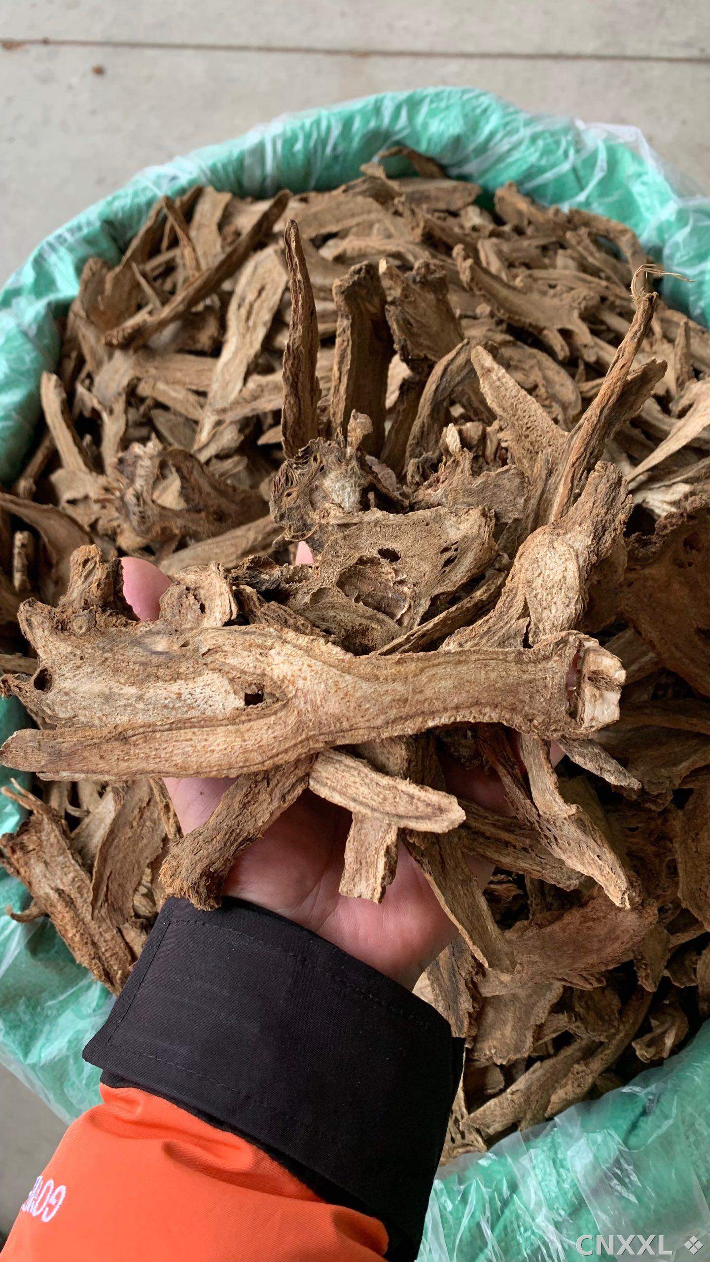 spice_17003_85830d8c_1.jpg