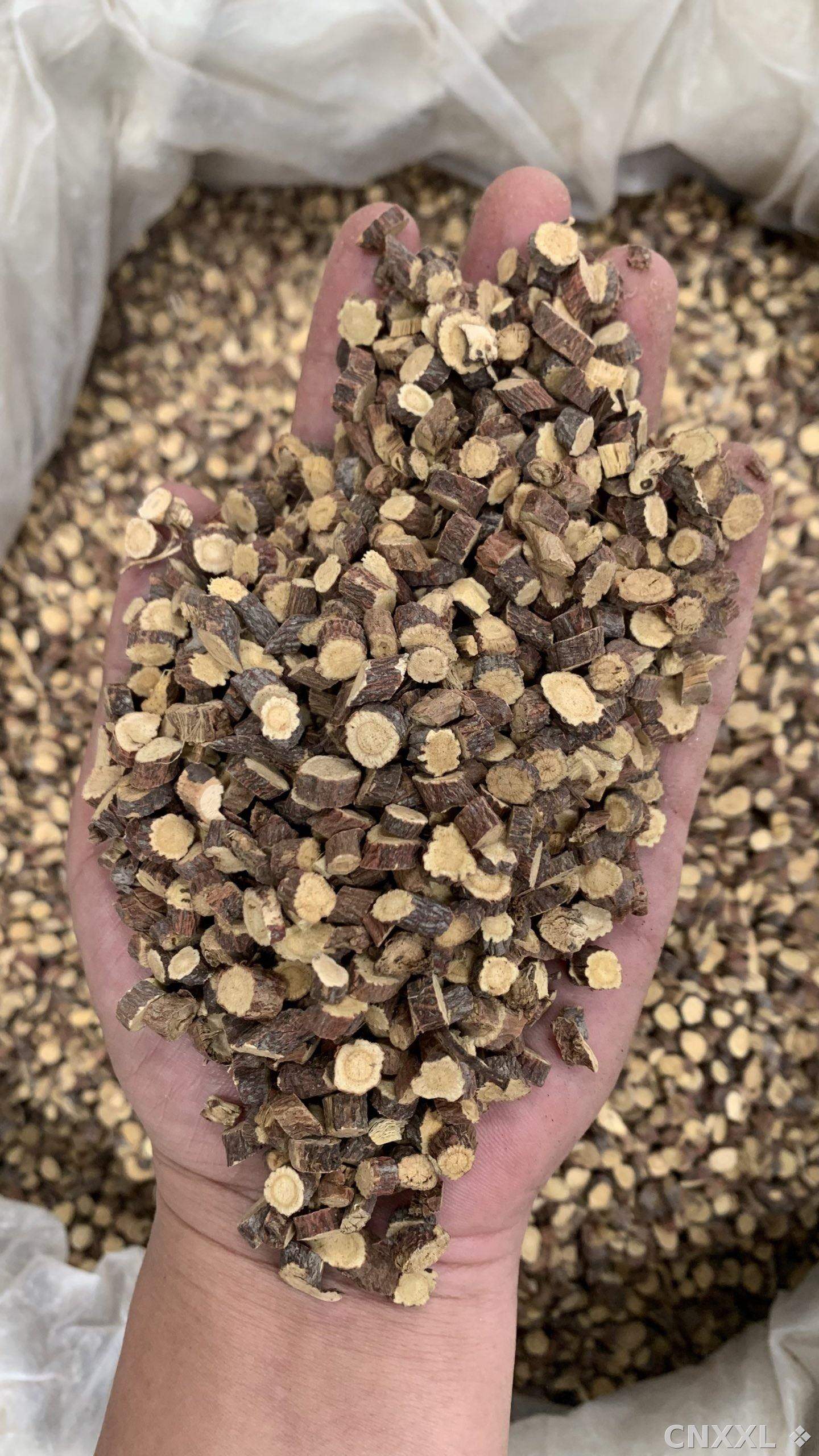 spice_17155_4c256ad8_1.jpg