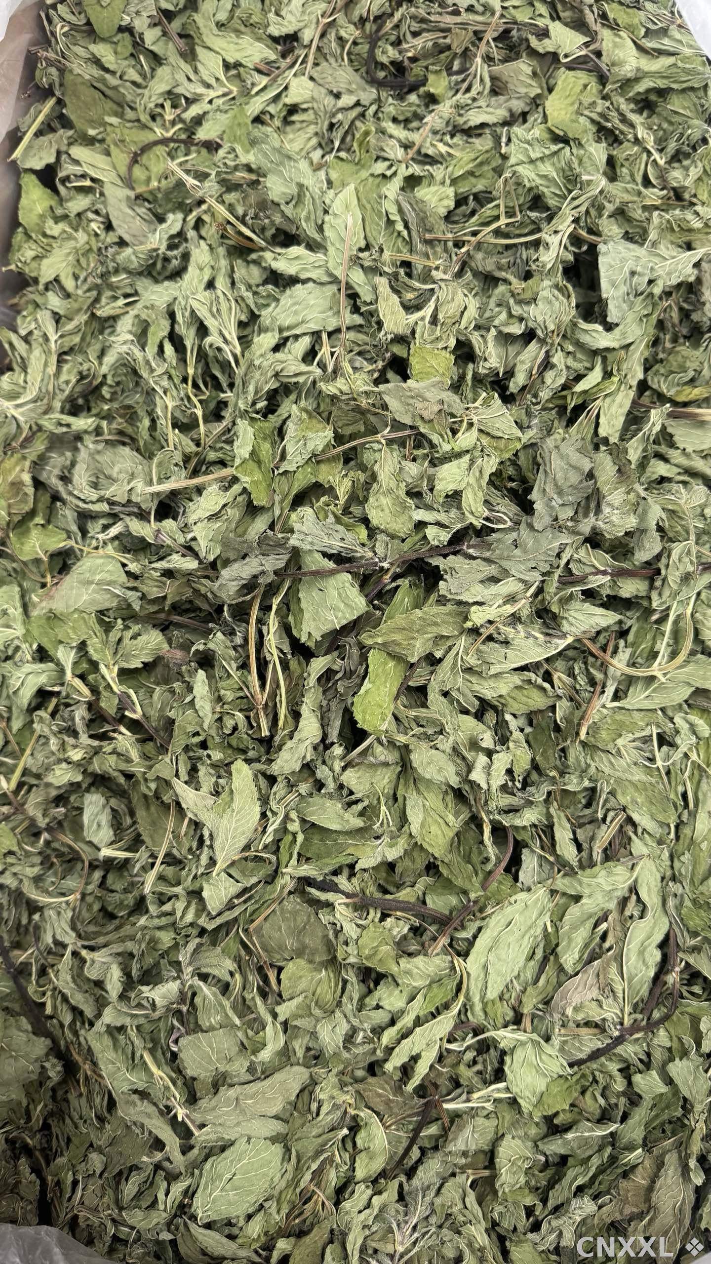 spice_1755193_44834f0b_3.jpg