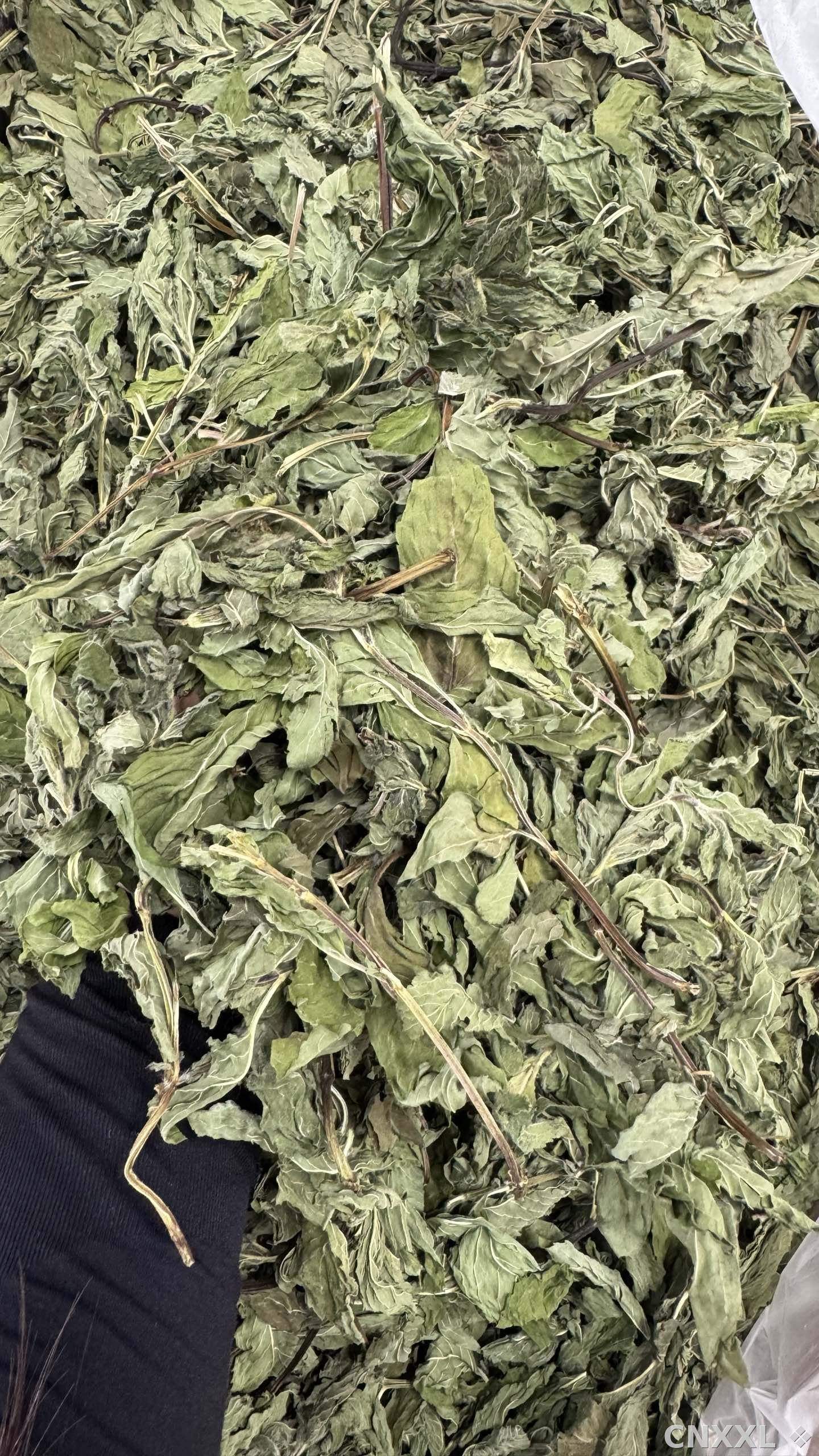 spice_1755193_b0c2c71d_1.jpg