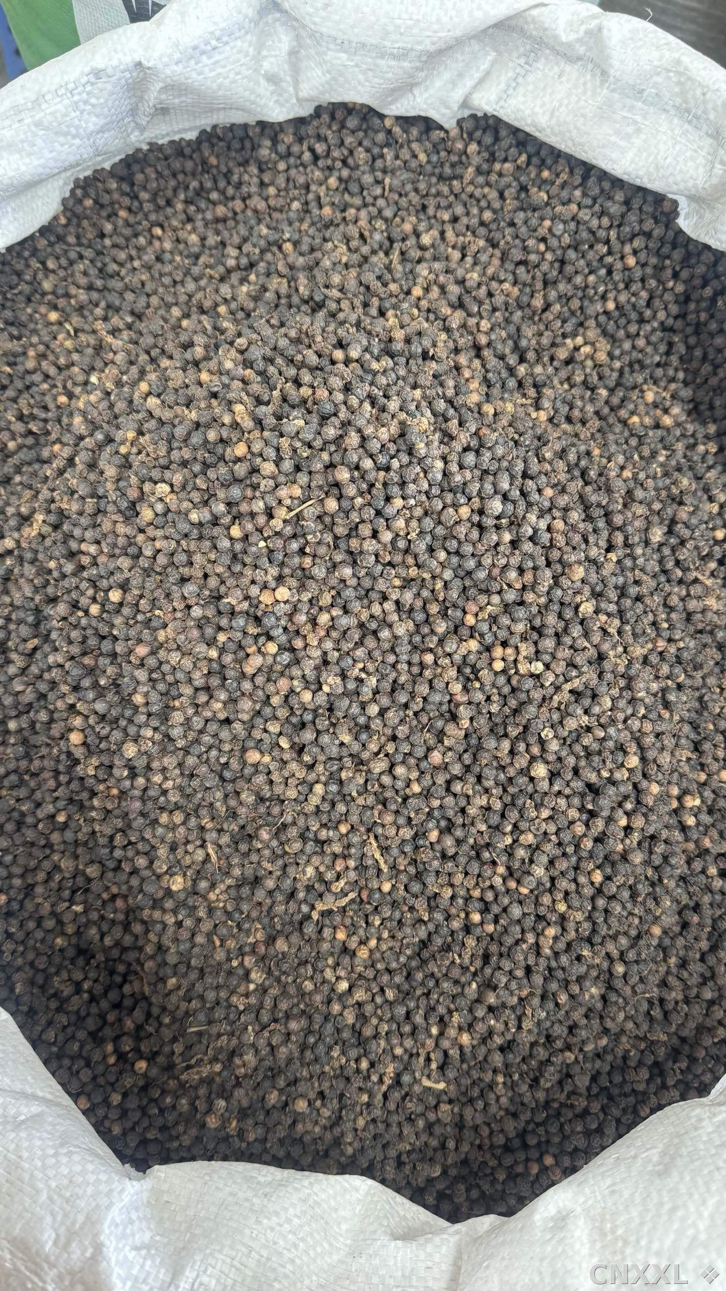 spice_1760248_904825d4_3.jpg