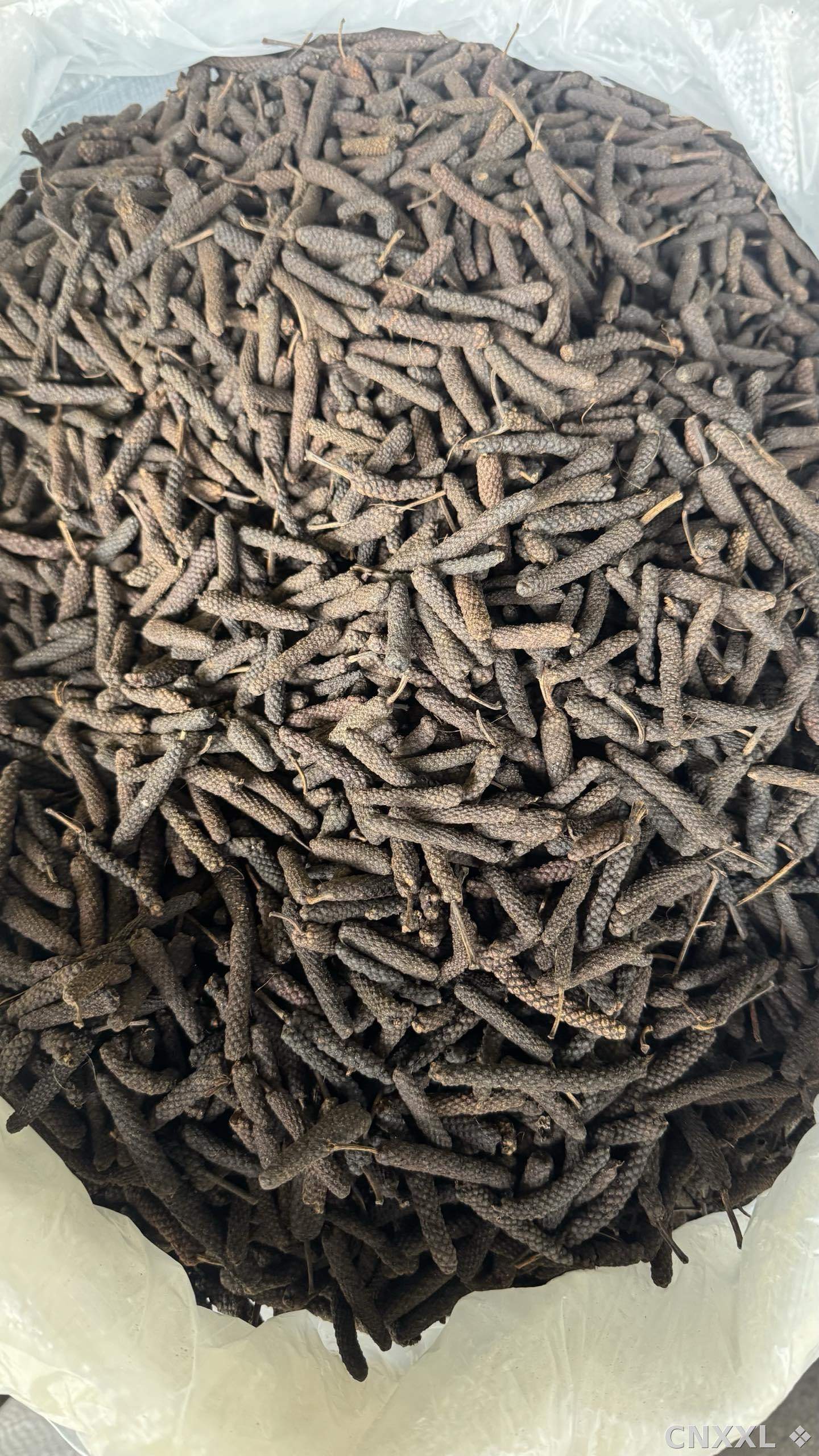 spice_18532_f5454055_3.jpg