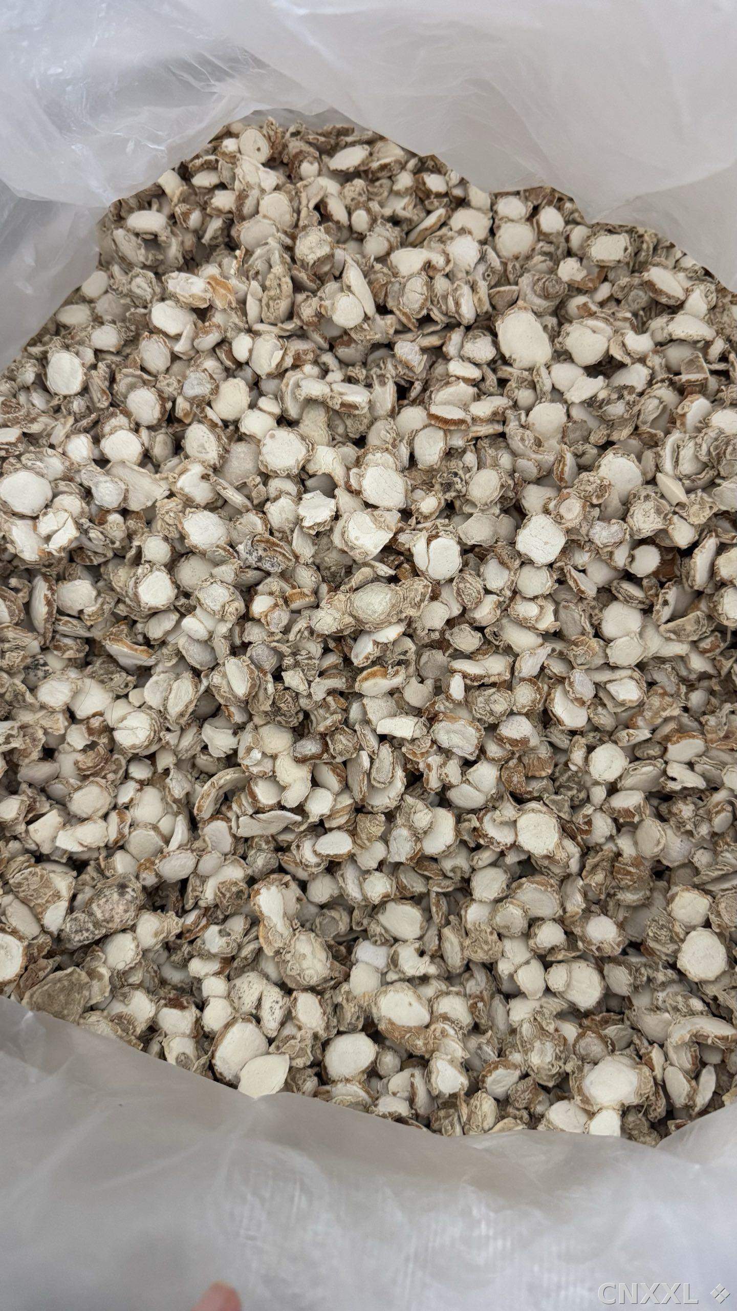 spice_1861244_00a5ddc1_3.jpg