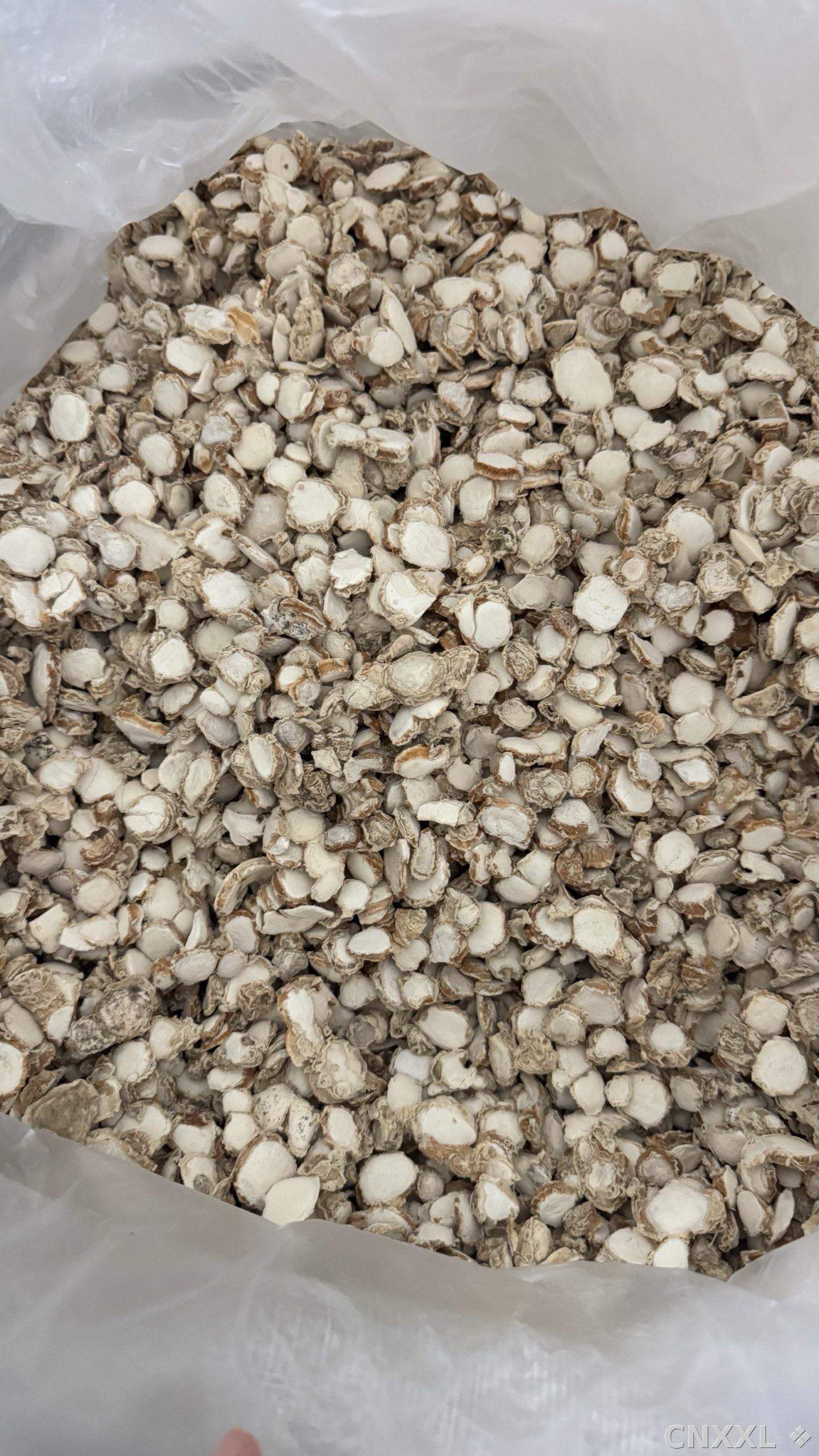 spice_1861244_d9832ffb_2.jpg
