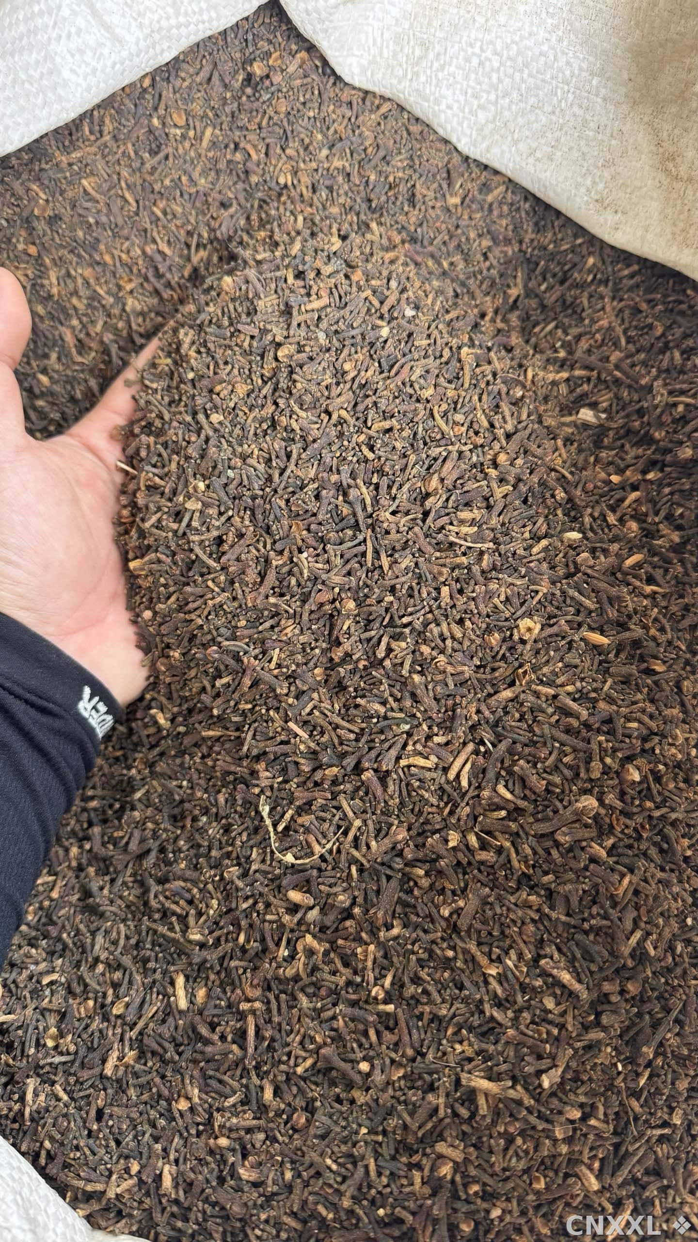 spice_1861259_df04e099_3.jpg