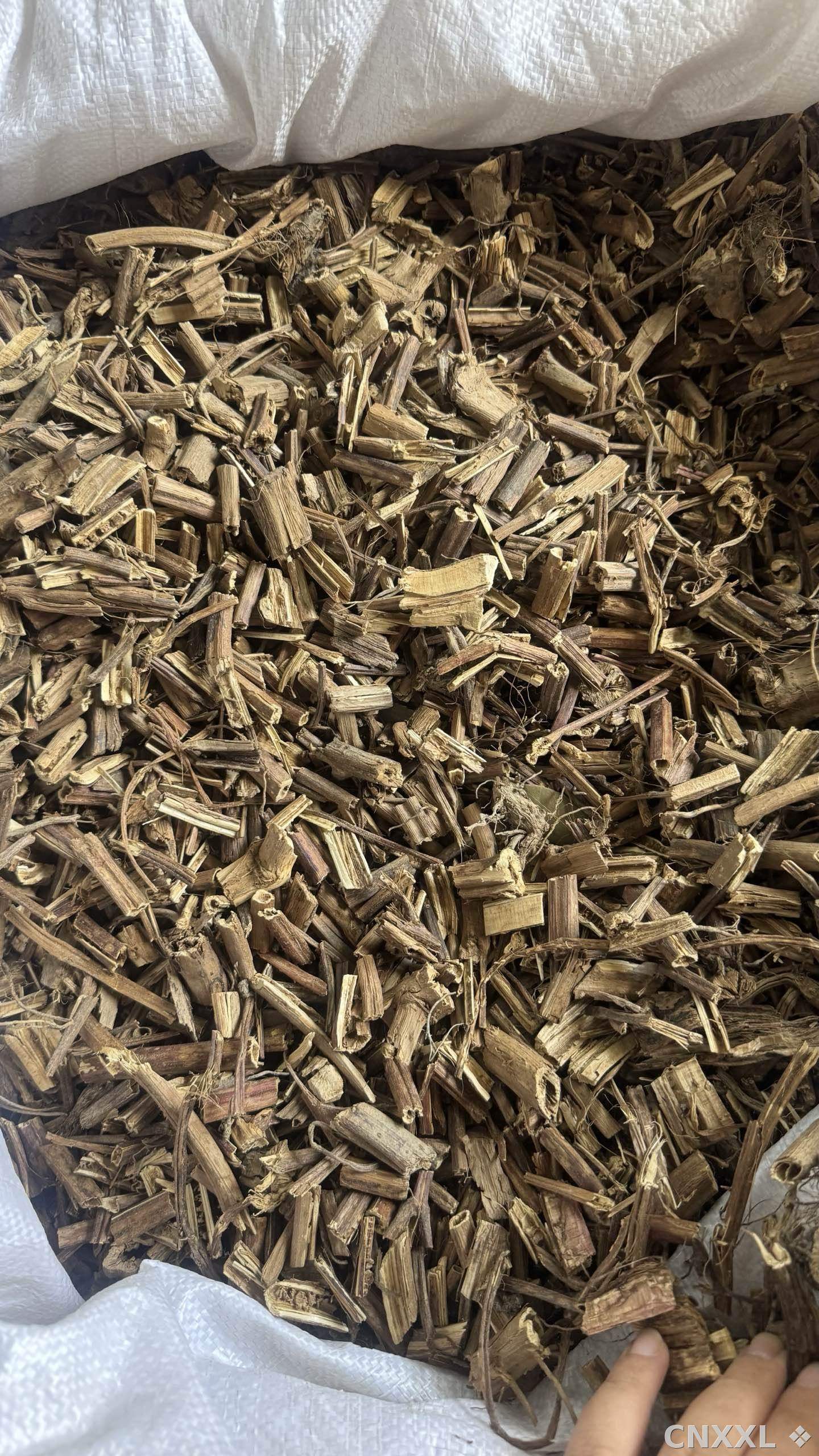 spice_18786_b916b871_3.jpg