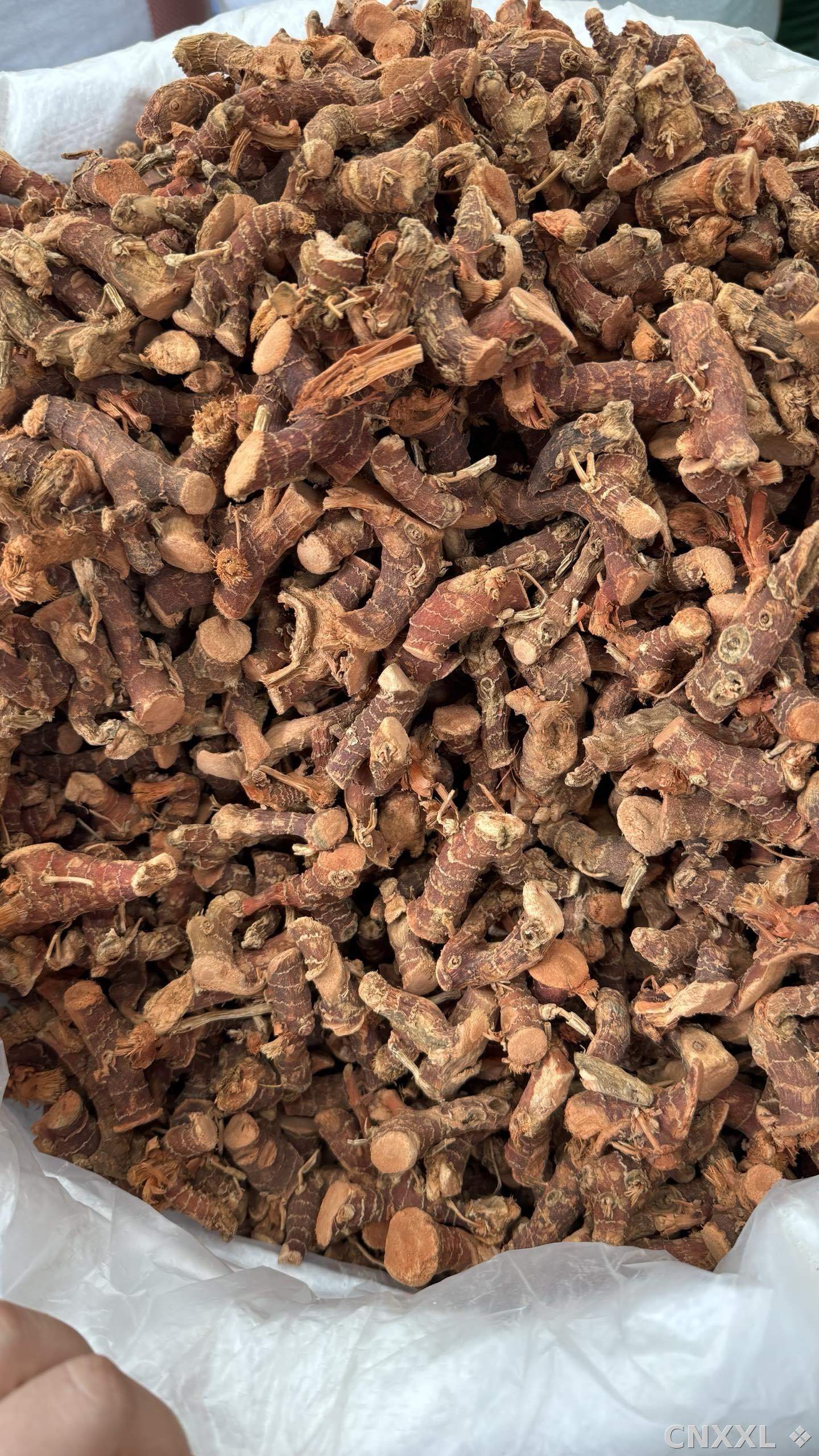 spice_18794_ac680a14_2.jpg