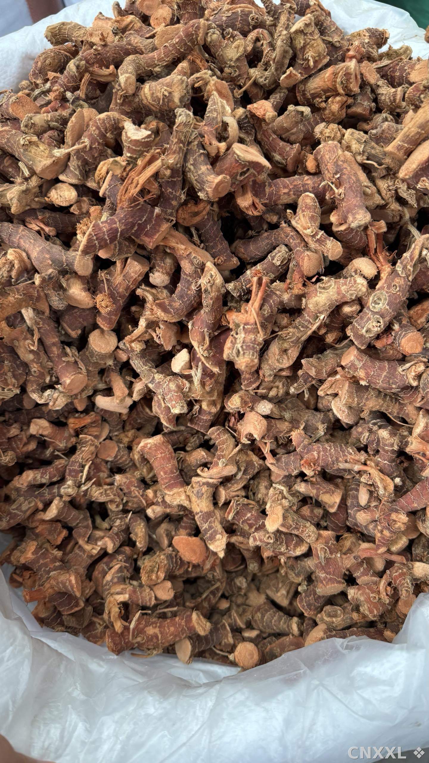 spice_18794_f11bd199_3.jpg