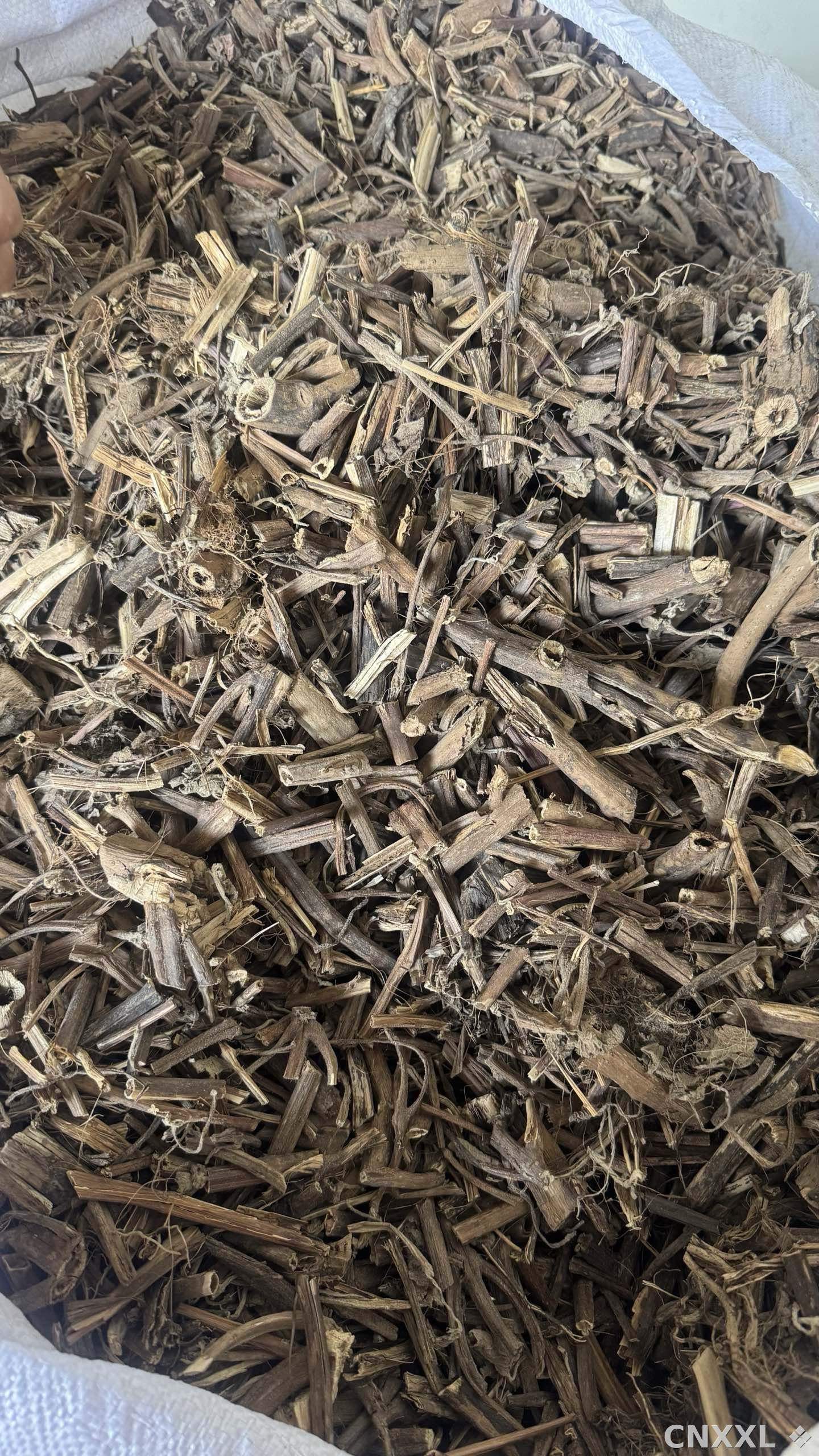 spice_18817_6fefed50_3.jpg