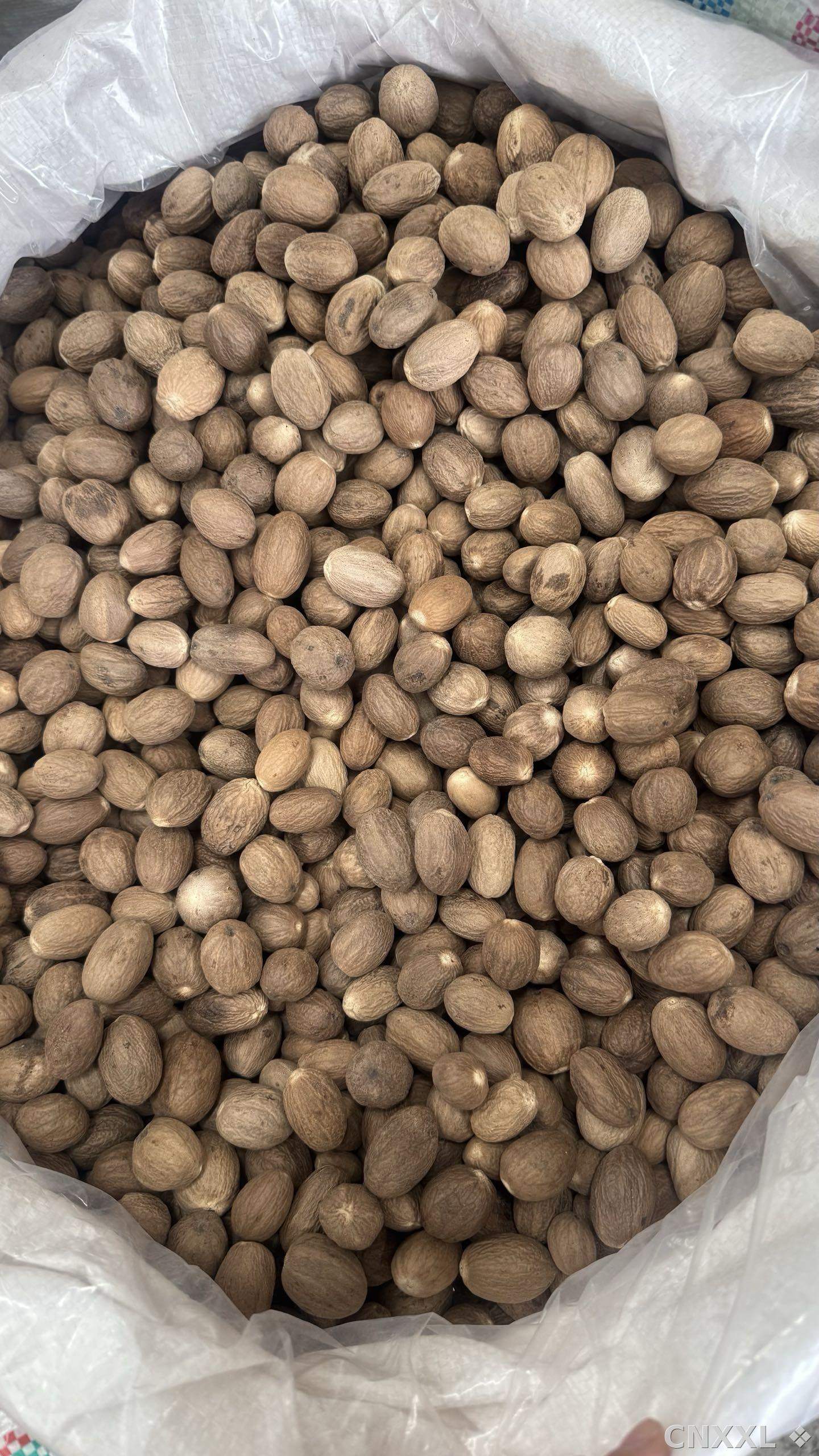 spice_18820_0f843ebe_2.jpg