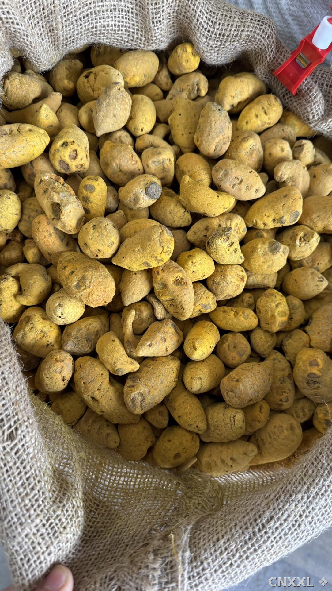 spice_18850_c2bcb39c_3.jpg