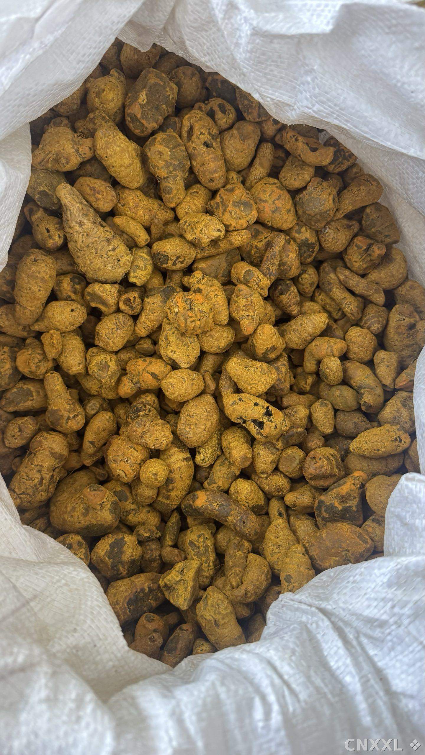 spice_18851_eaa1b2b5_2.jpg