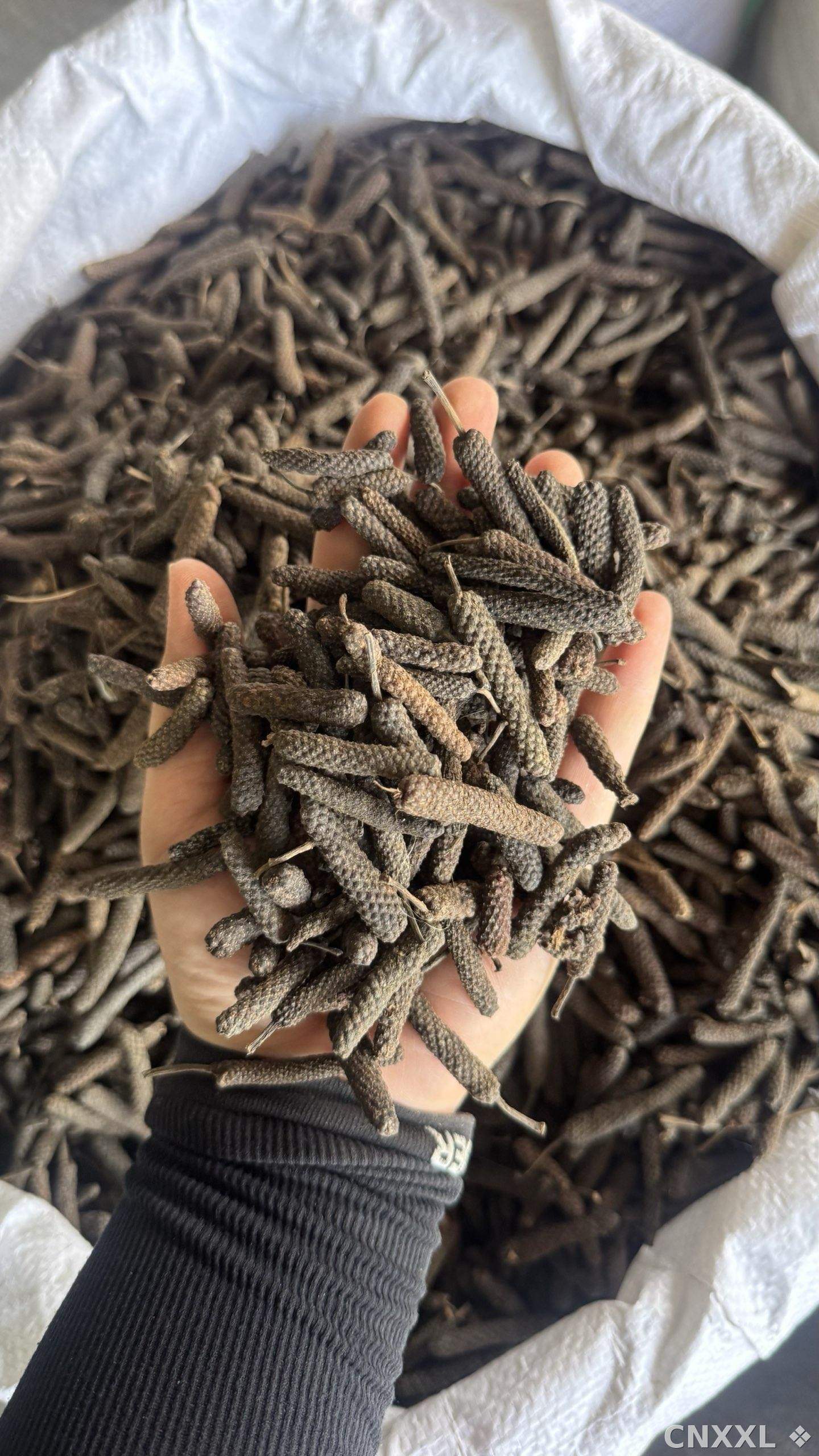 spice_18870_55e1f012_1.jpg