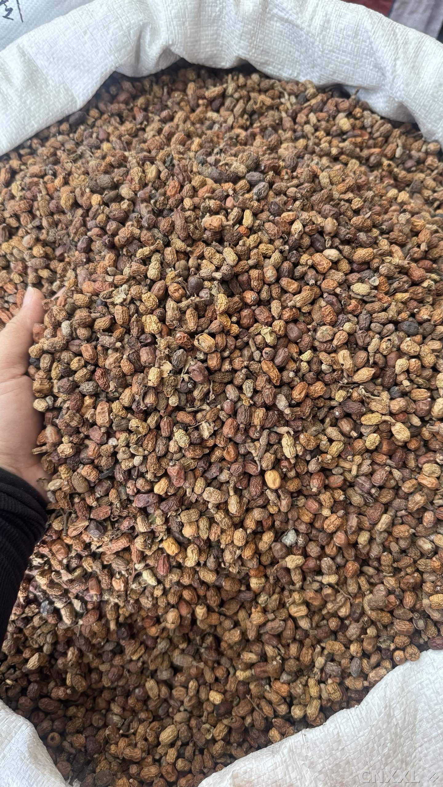 spice_18872_aa3f0886_3.jpg