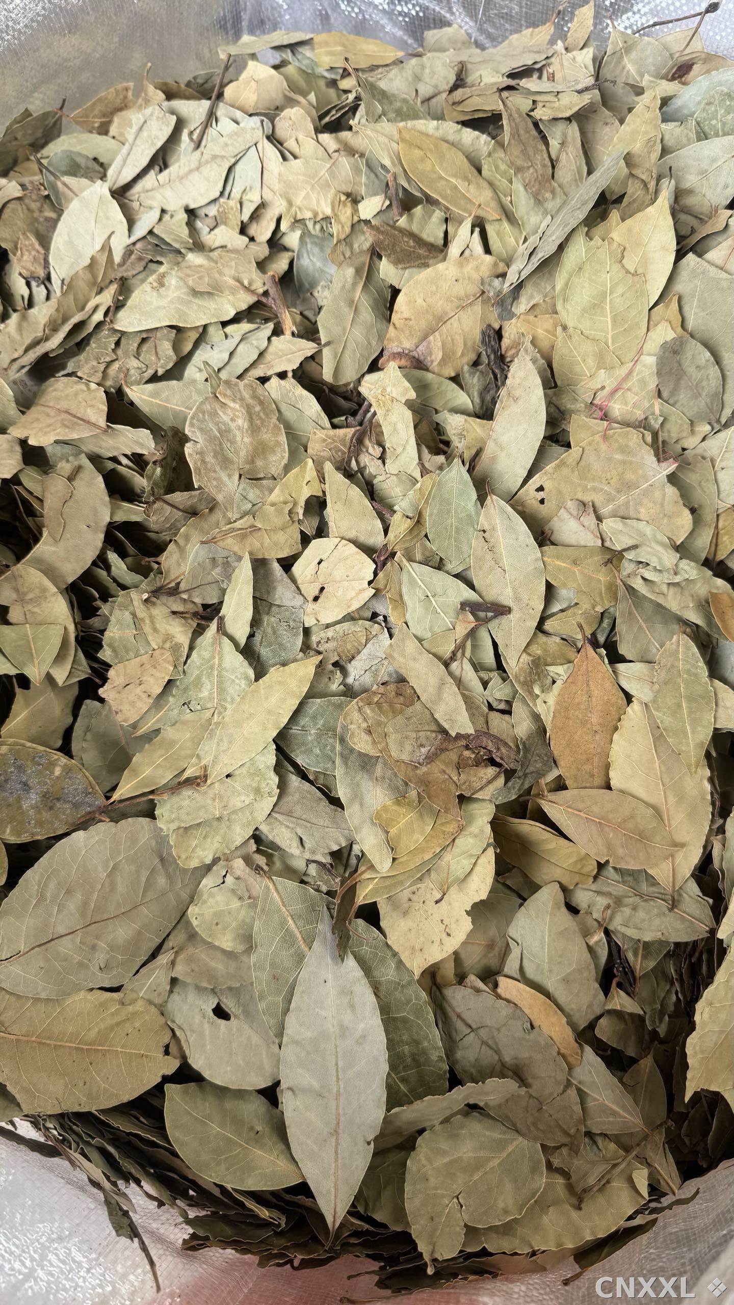 spice_19056_fa3d90e9_3.jpg